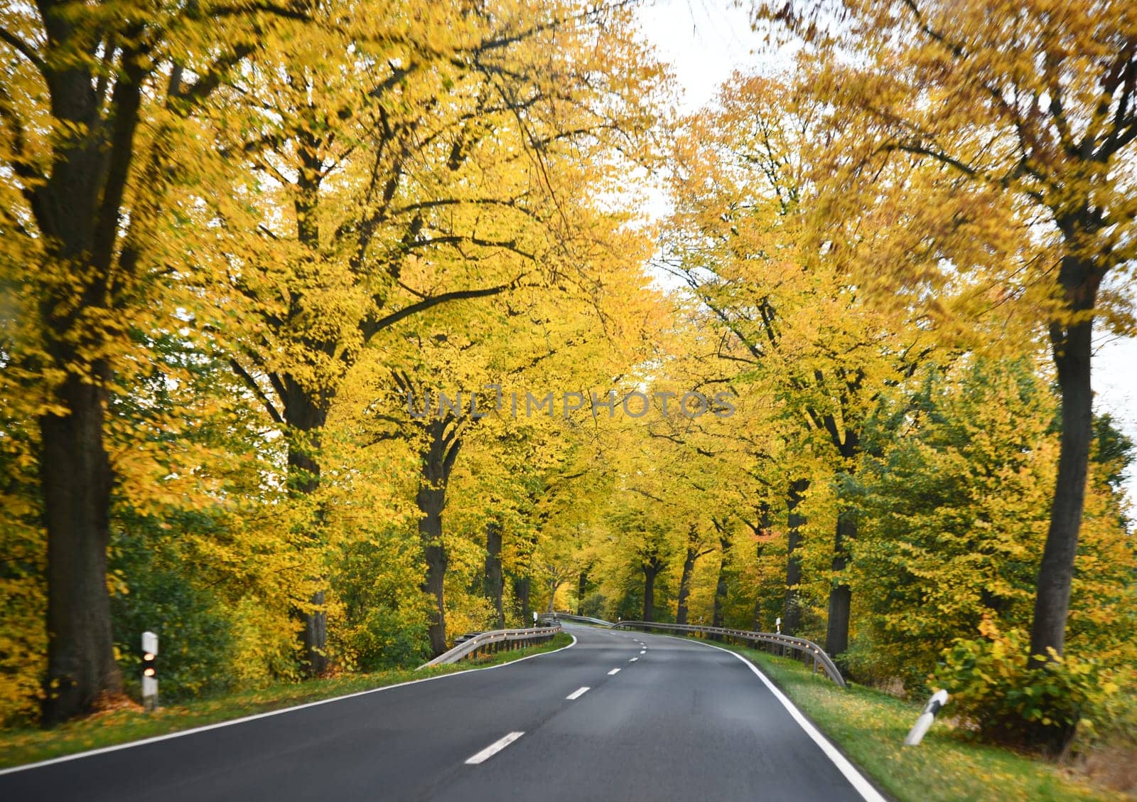 federal road