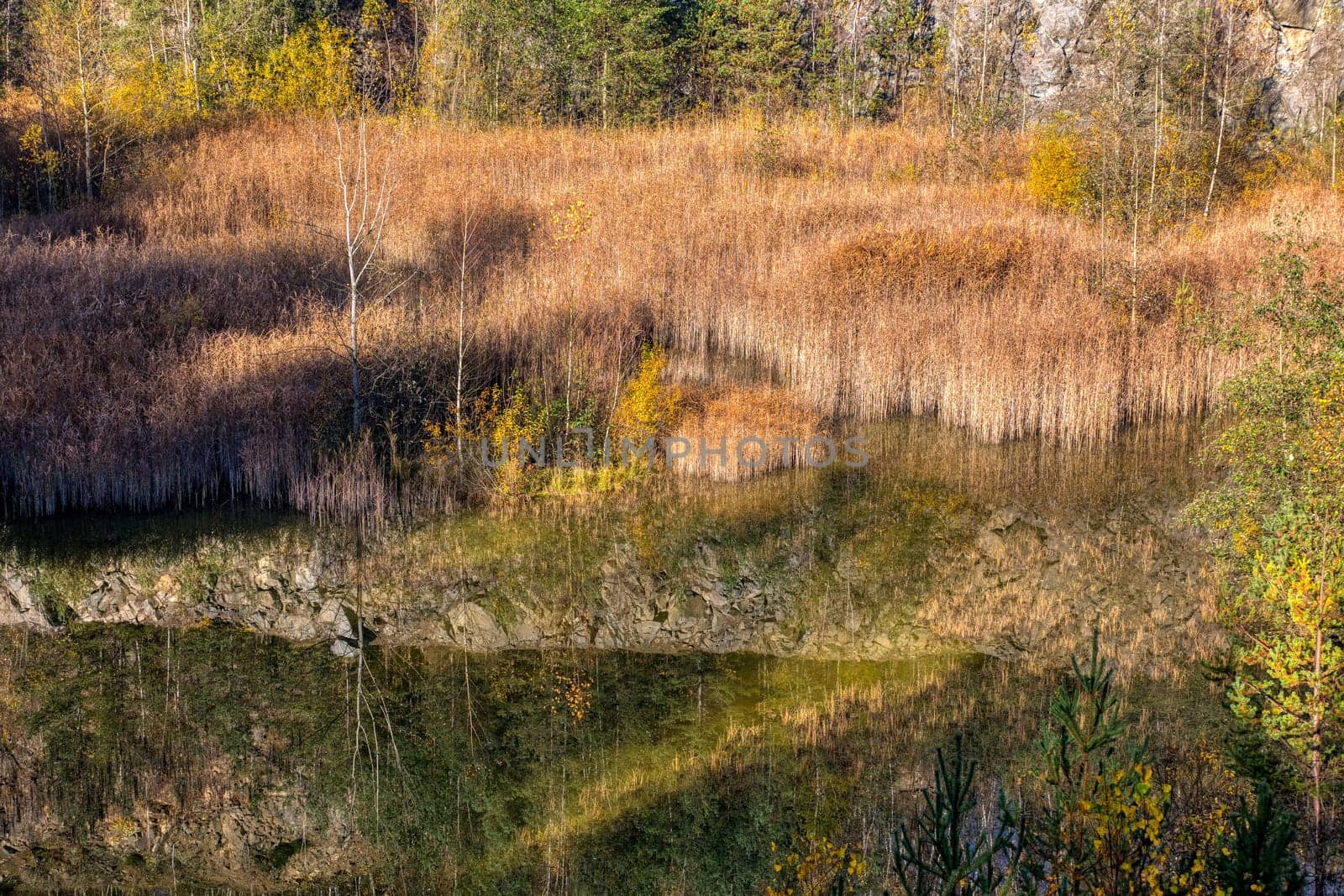 Beautiful reflection of autumn colored trees in water, landscape of abandoned and flooded s,all quarry, Czech Republic