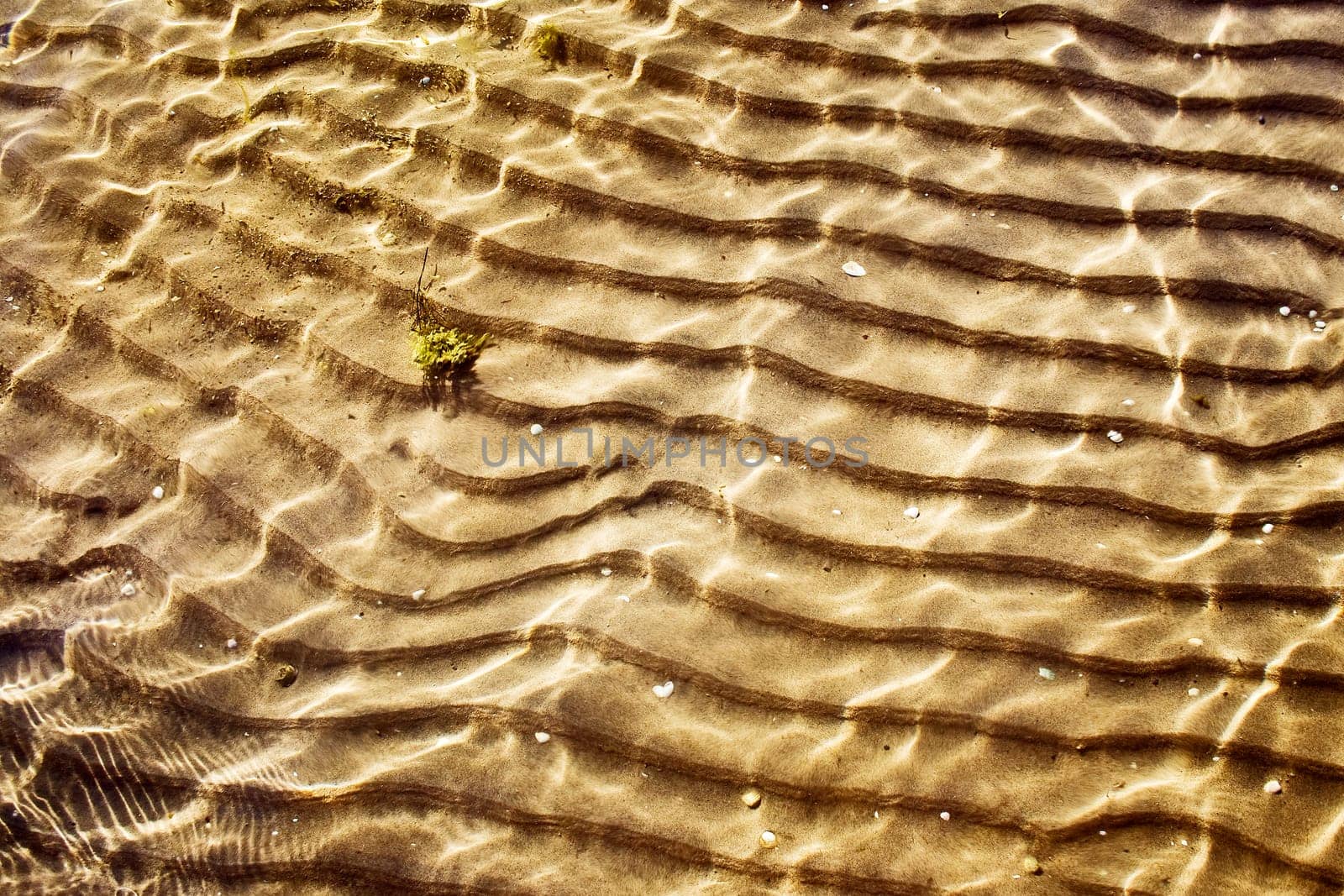 Sea bottom texture with beautiful lines on the sand