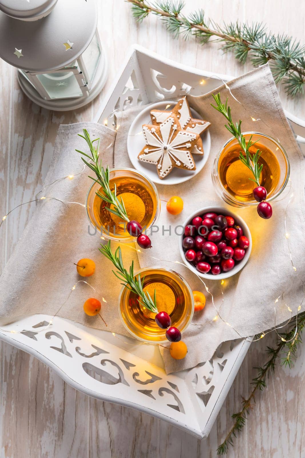 Christmas apple cider cocktail with cranberries, rosemary and gingerbread cookies. Mulled apple wine for Christmas.