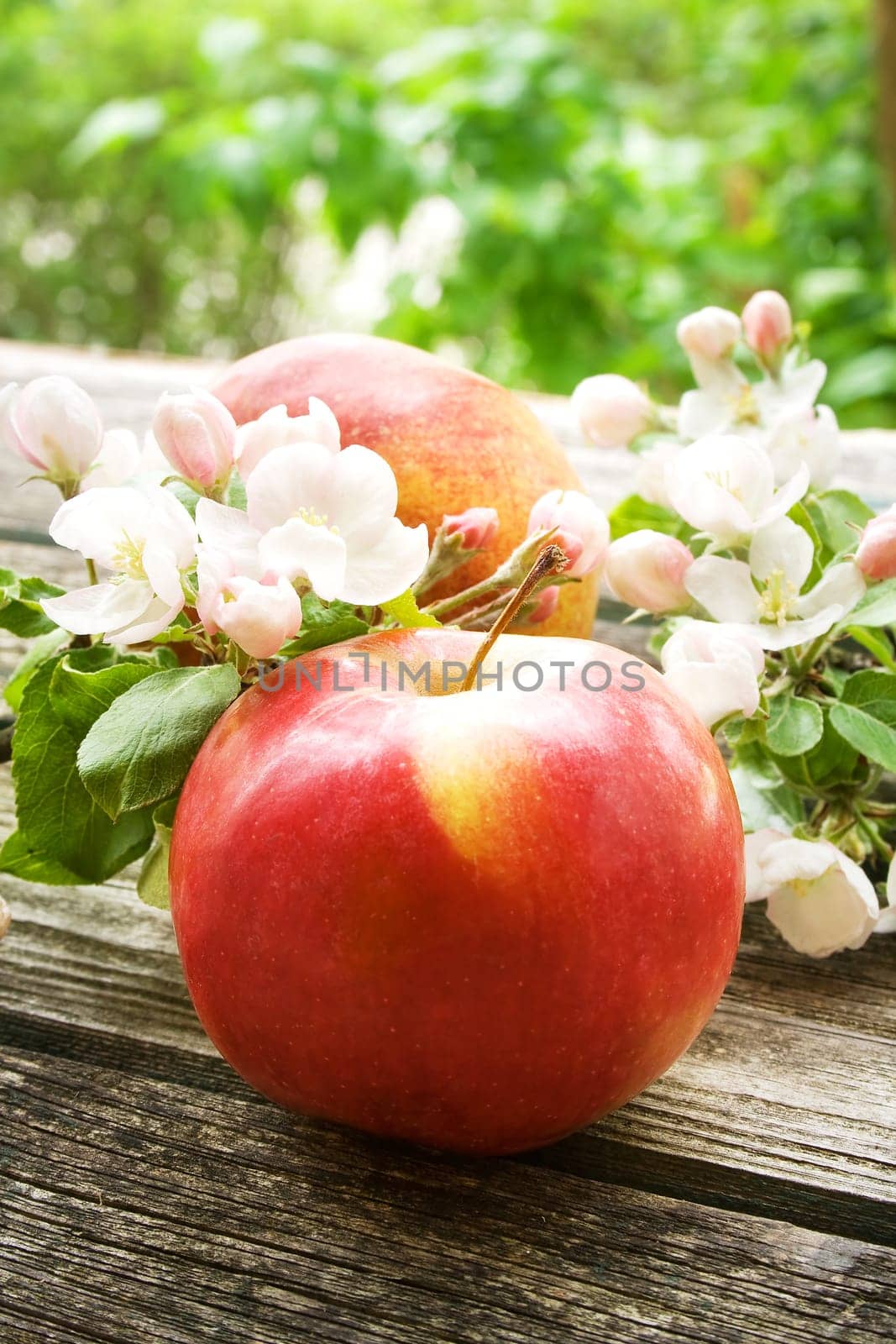 Apple with flowers on wooden board outdoors