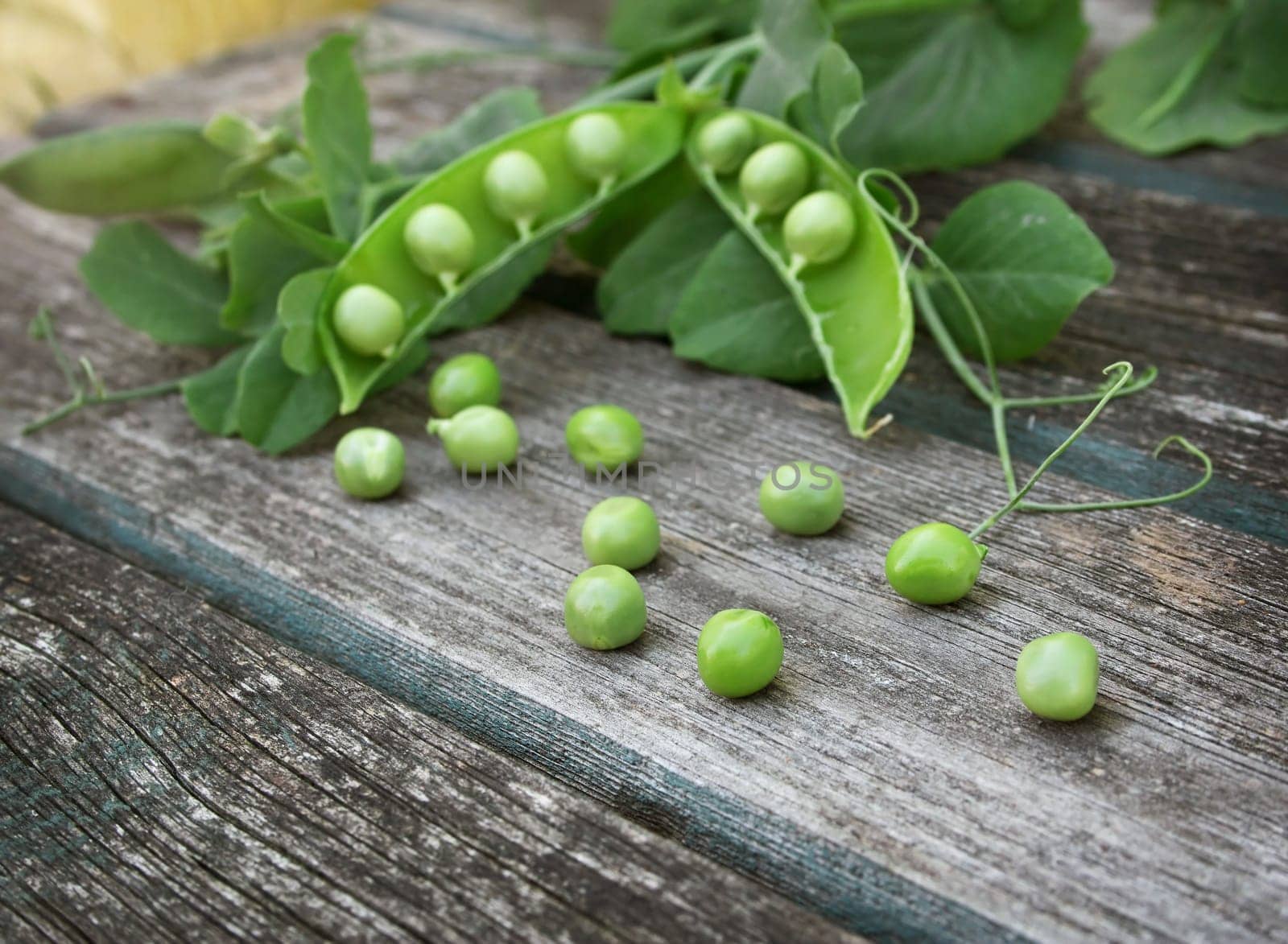 fresh ripe peas on old wooden background