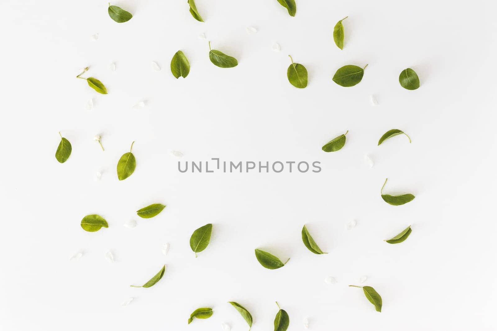 Spring composition. Round frame made of leaves on white background, Top view. Flat lay.