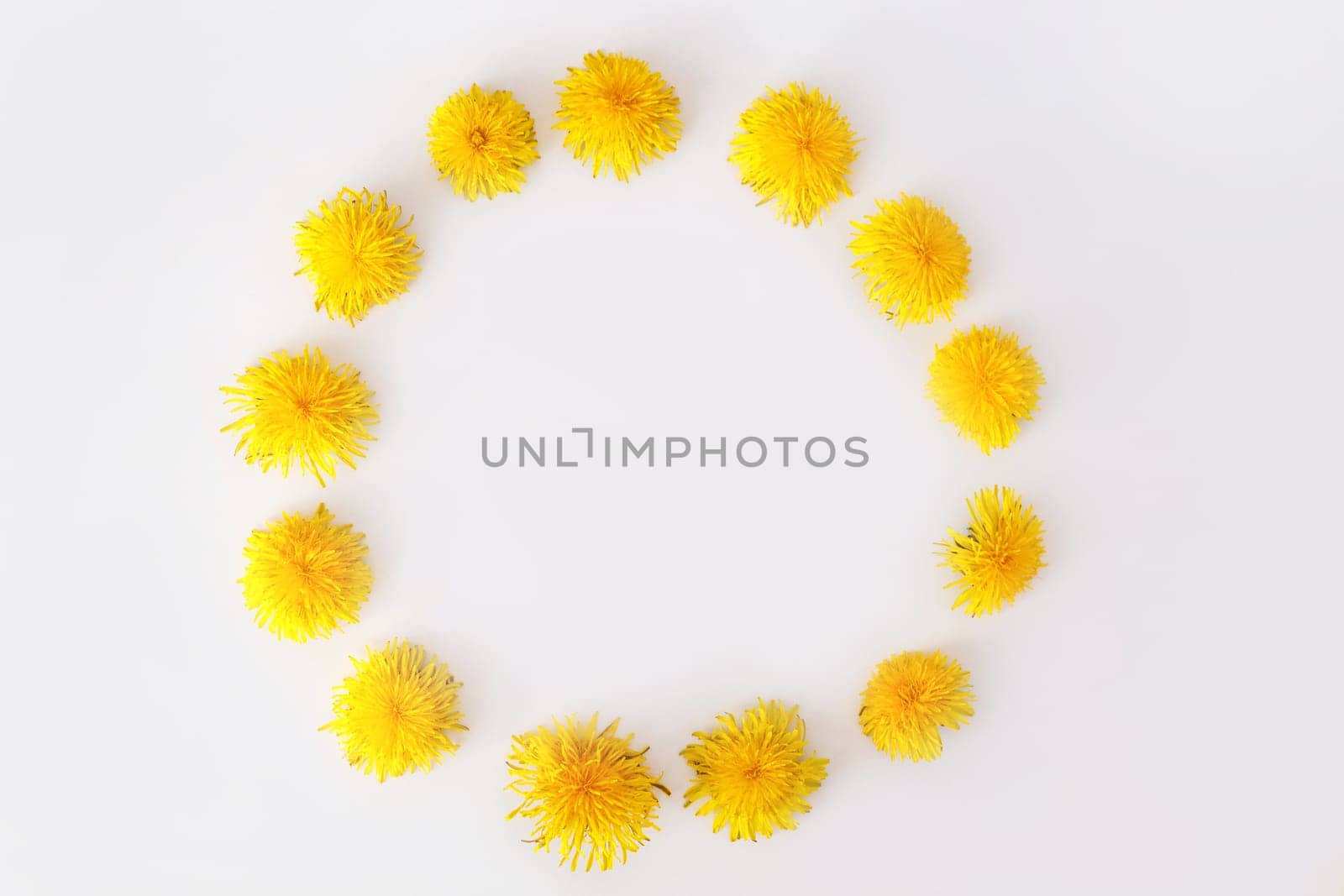 Round frame made of dandelions flowers. Summer concept, top view, flat lay