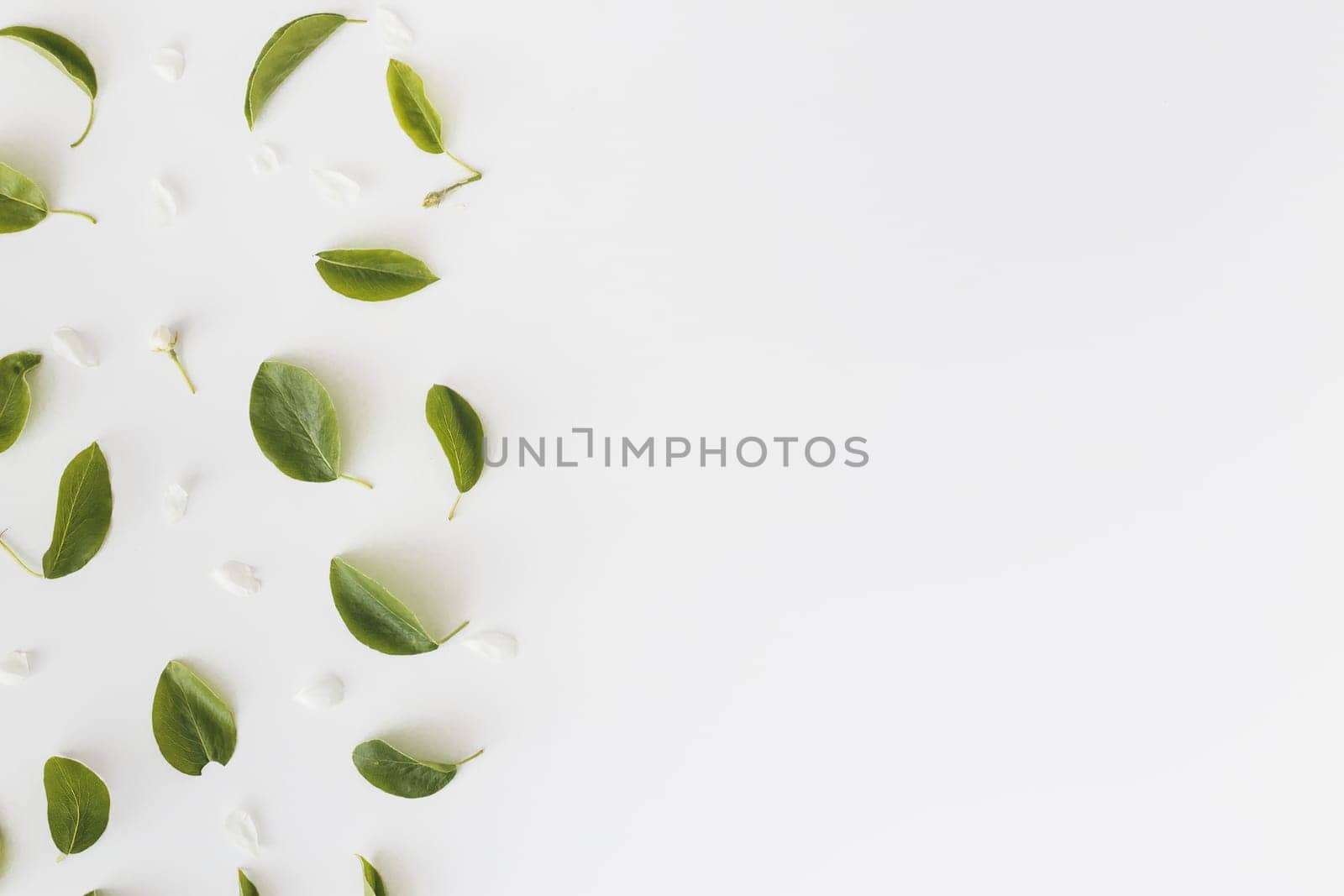 Frame made of leaves on white background with copy space, Top view. Flat lay.