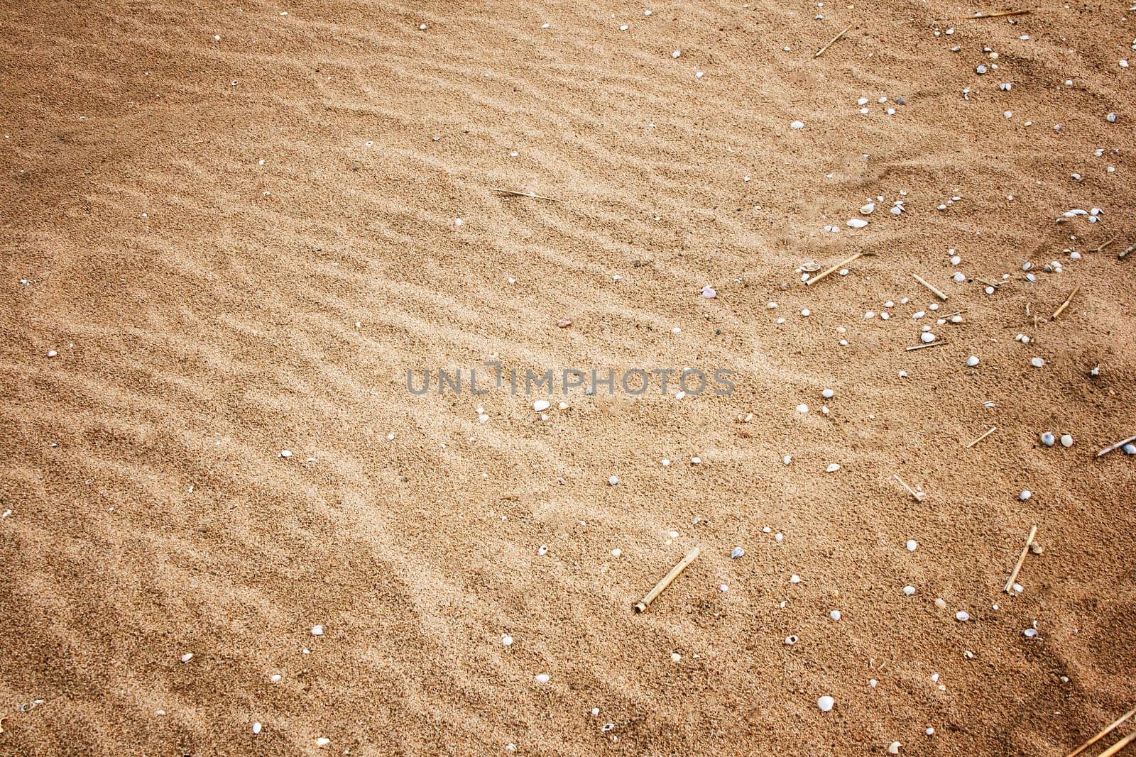 sand texture at seaside on summer day