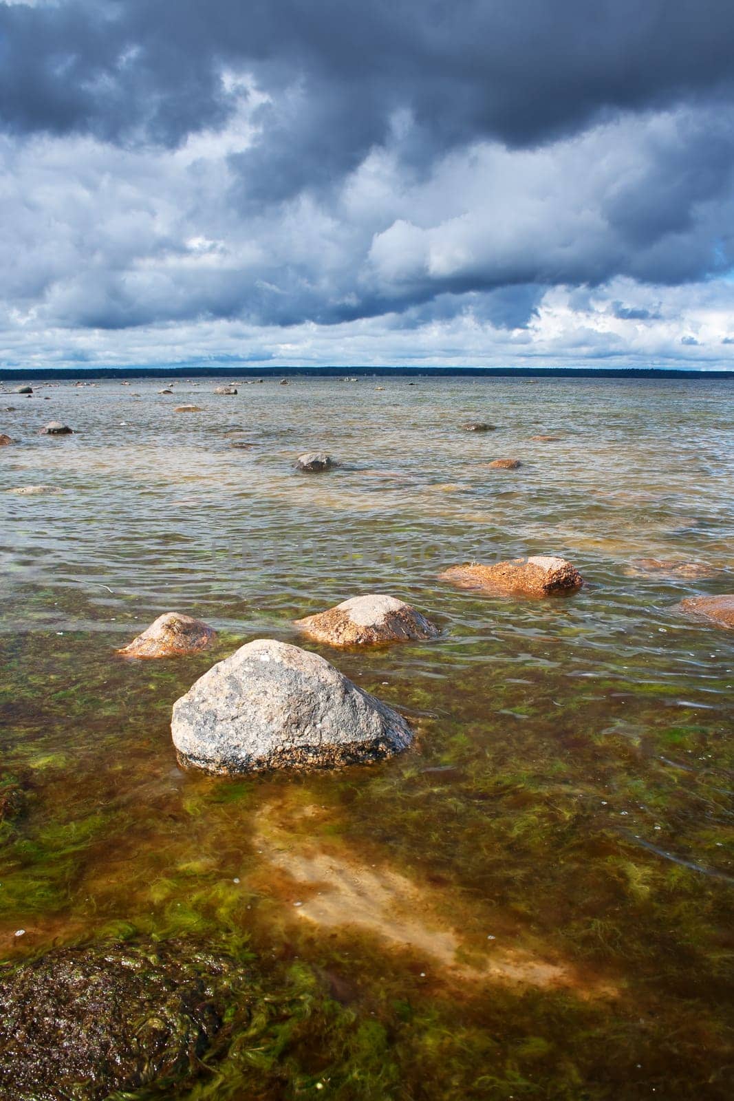 Baltic seaside on cloudy day in summer