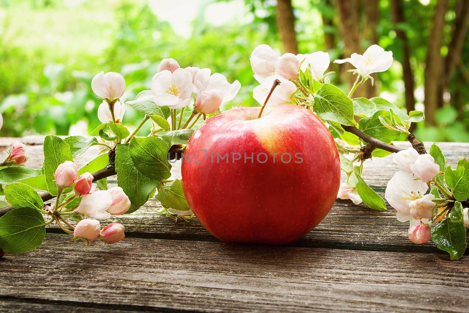 Apple with flowers on wooden board outdoors