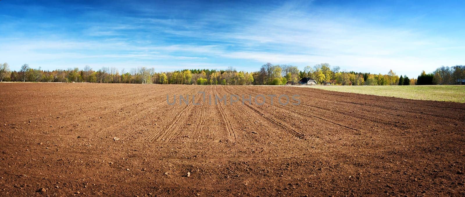 pasture on sunny day in early spring