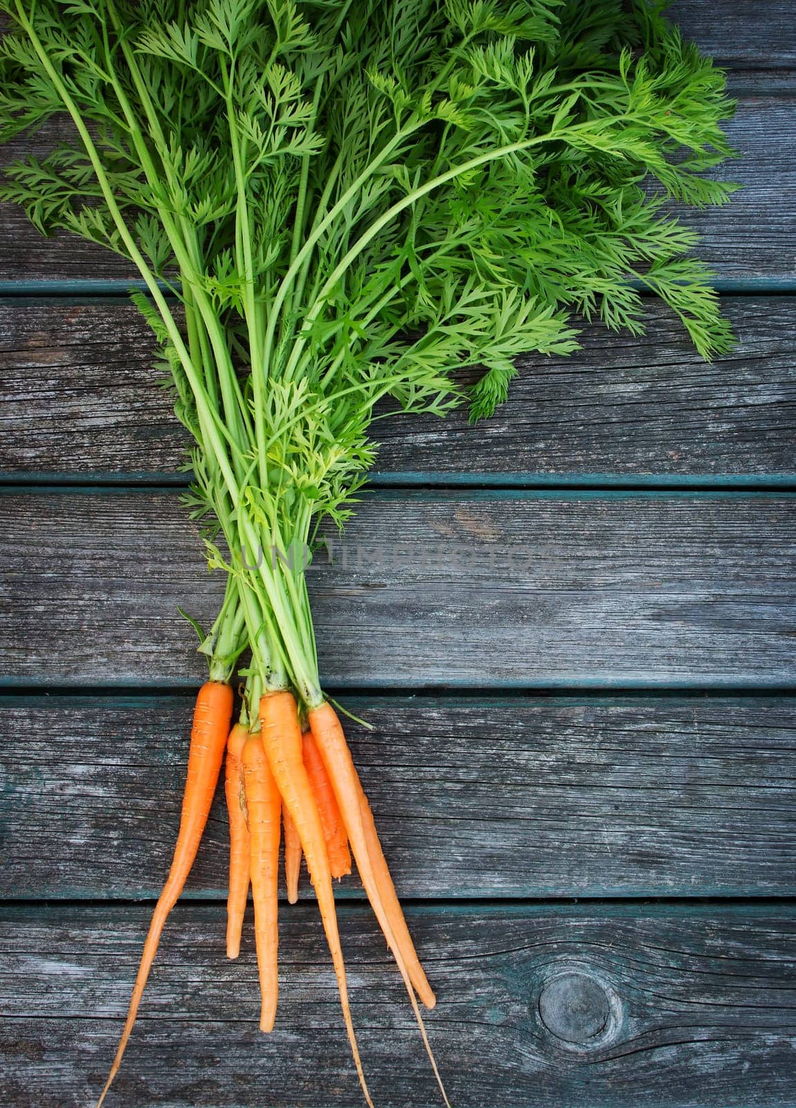 small orange carrots on old wooden board