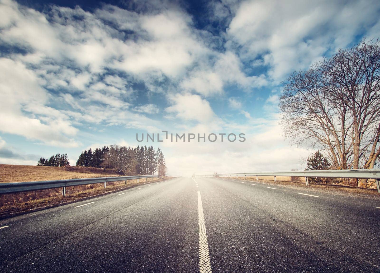 black asphalt road on sunny spring day