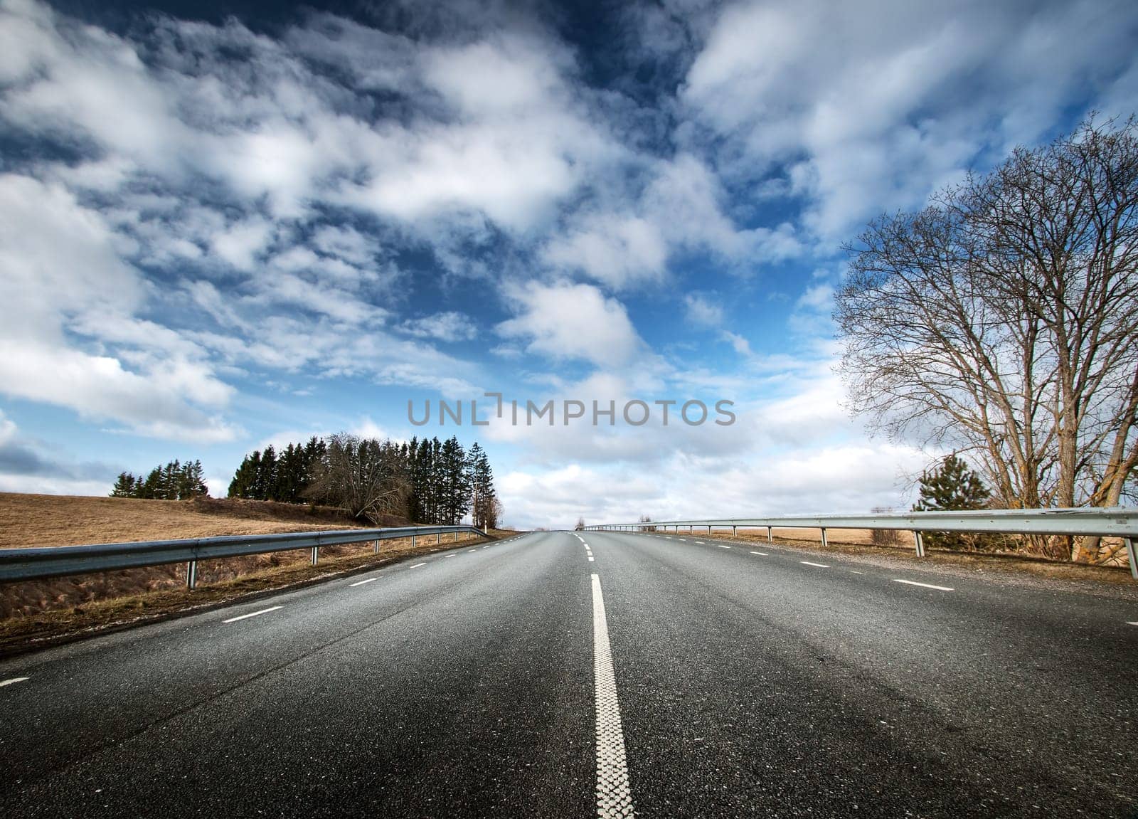 black asphalt road on sunny spring day