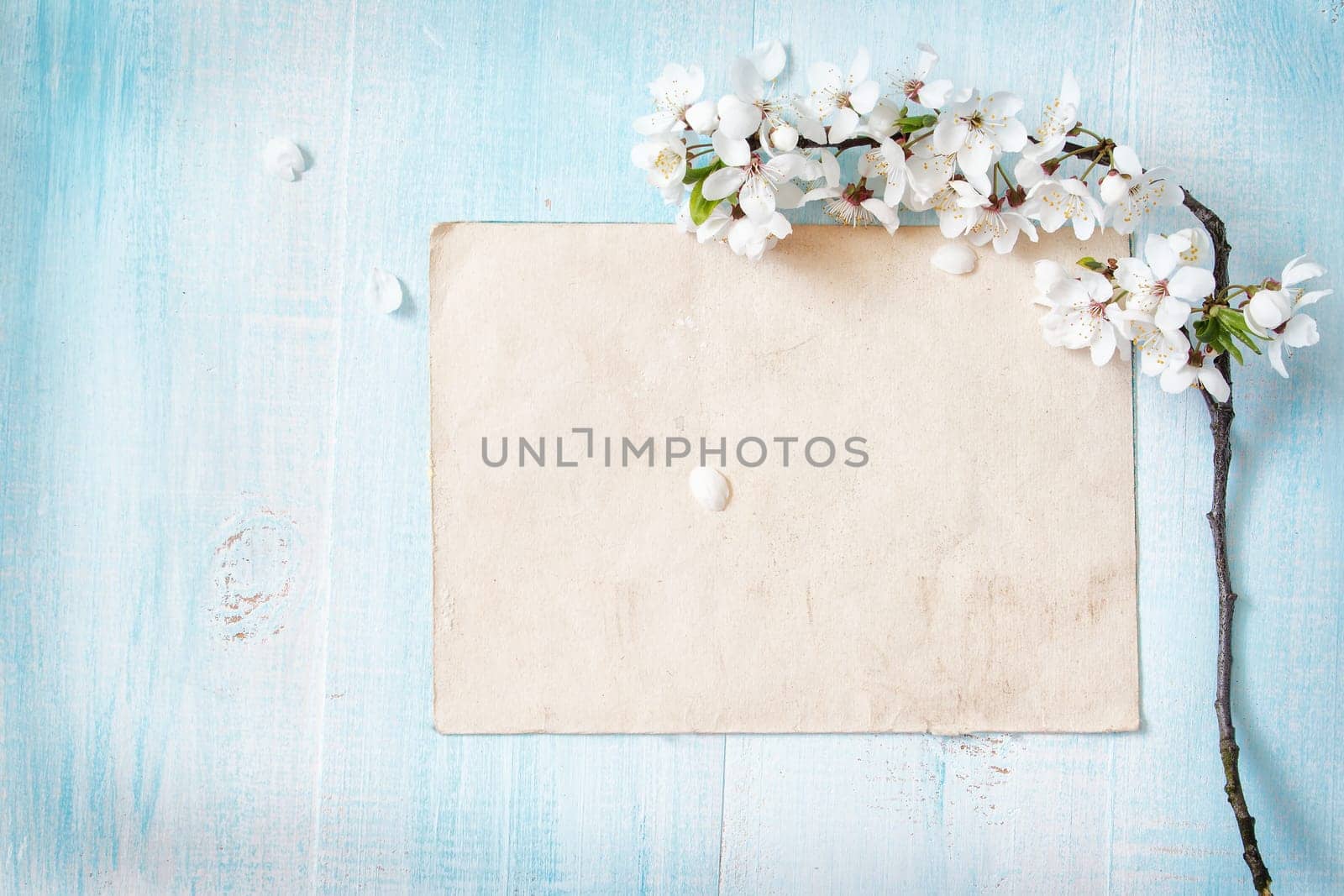 fresh cherry flowers on old wooden board