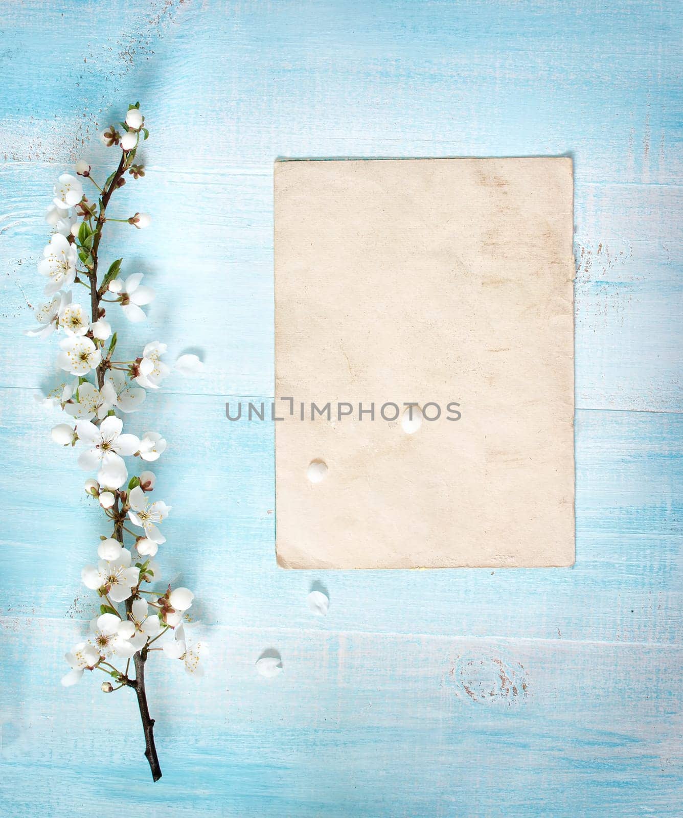 fresh cherry flowers on old wooden board