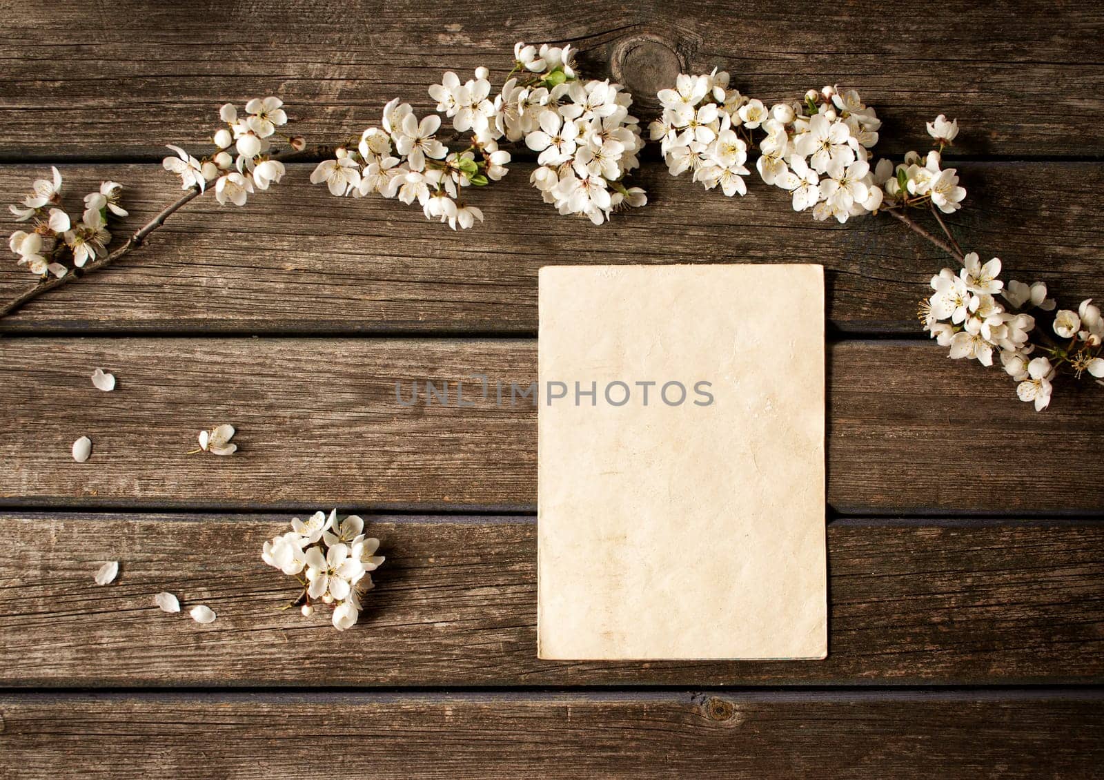 fresh cherry flowers on old wooden board