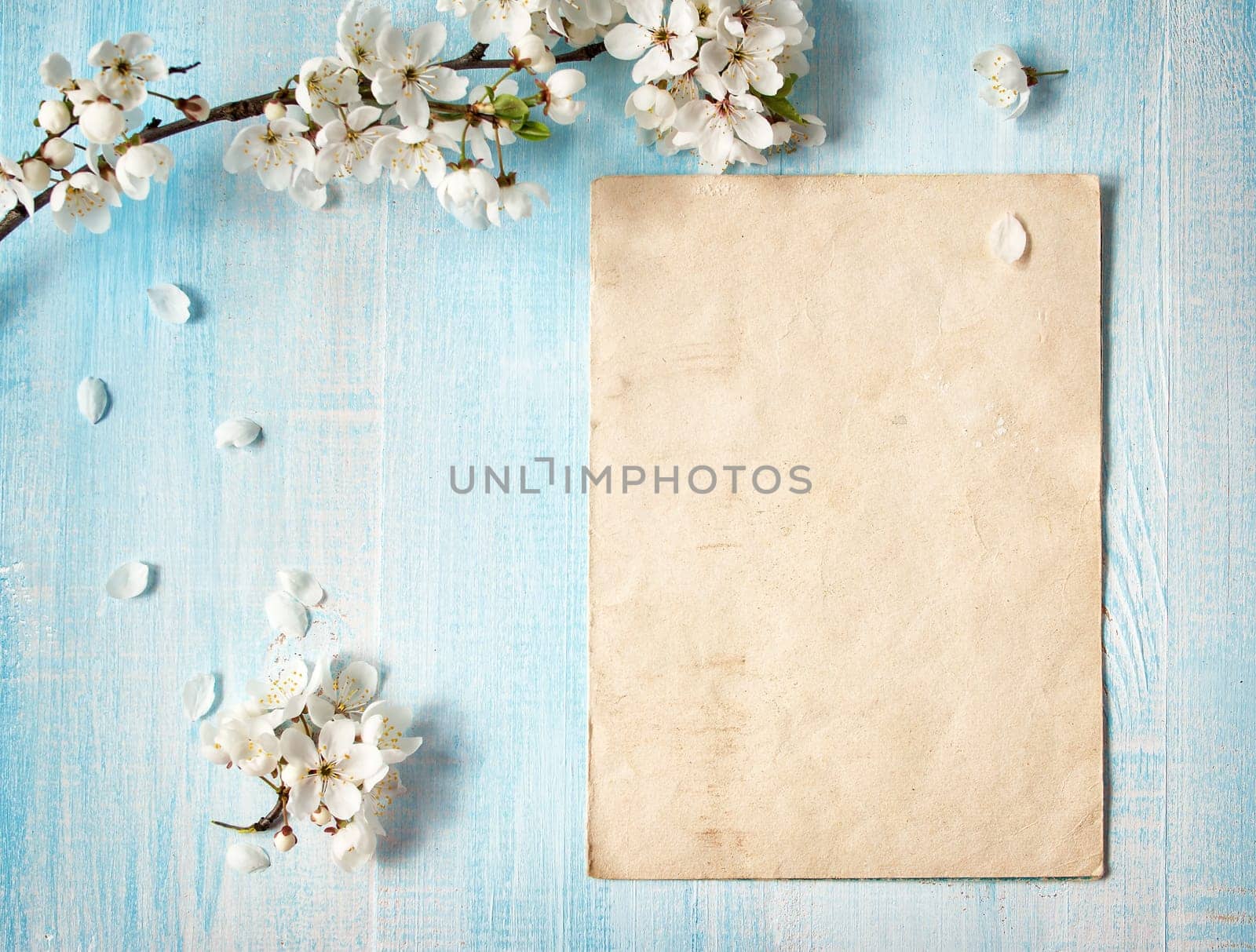fresh cherry flowers on old wooden board
