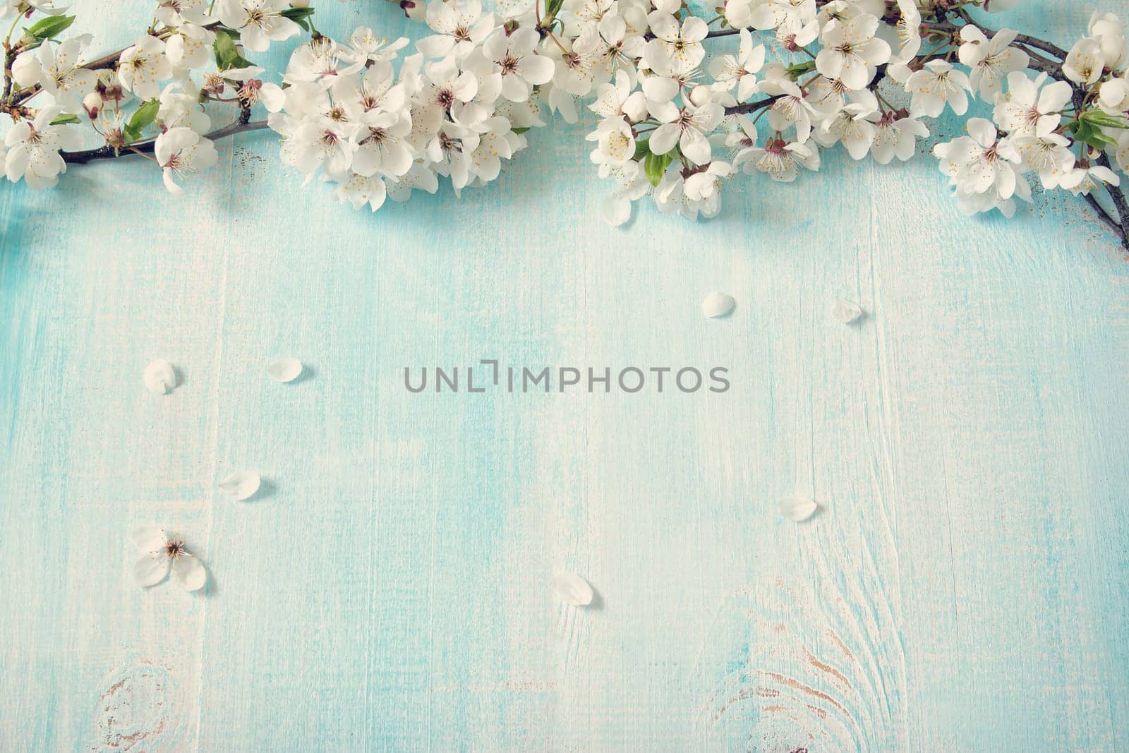 fresh cherry flowers on old wooden board