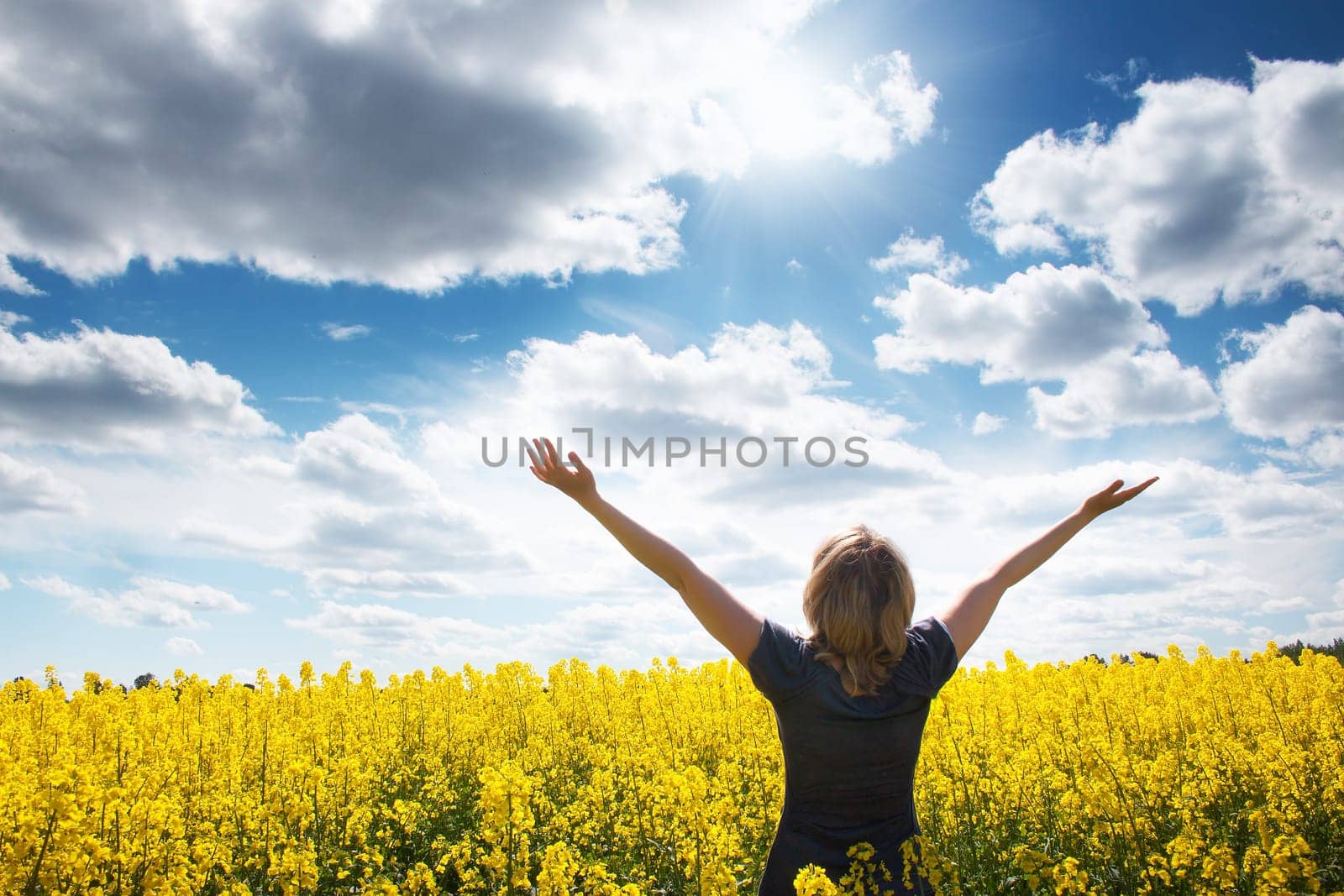 Young woman on field with yellow flowers