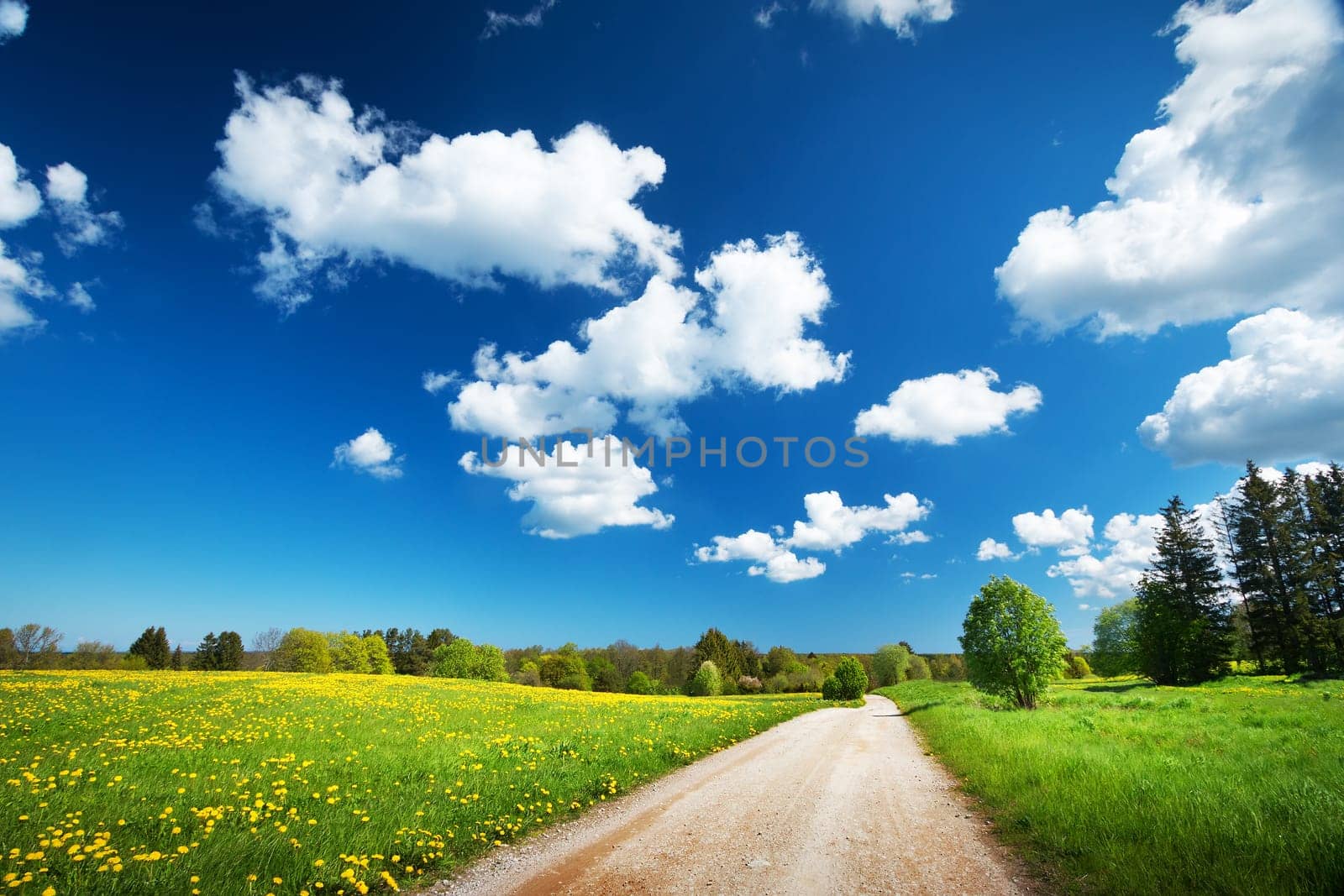 Countryside road on the field and fluffy clouds in the sky