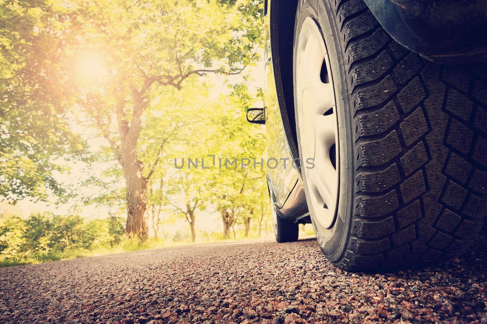 Car on asphalt road on summer day at park