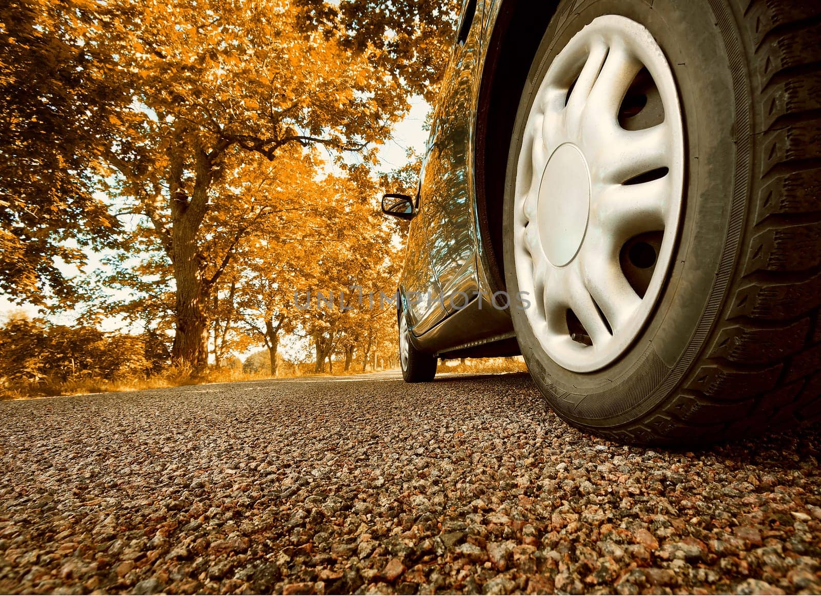Car on asphalt road on summer day at park
