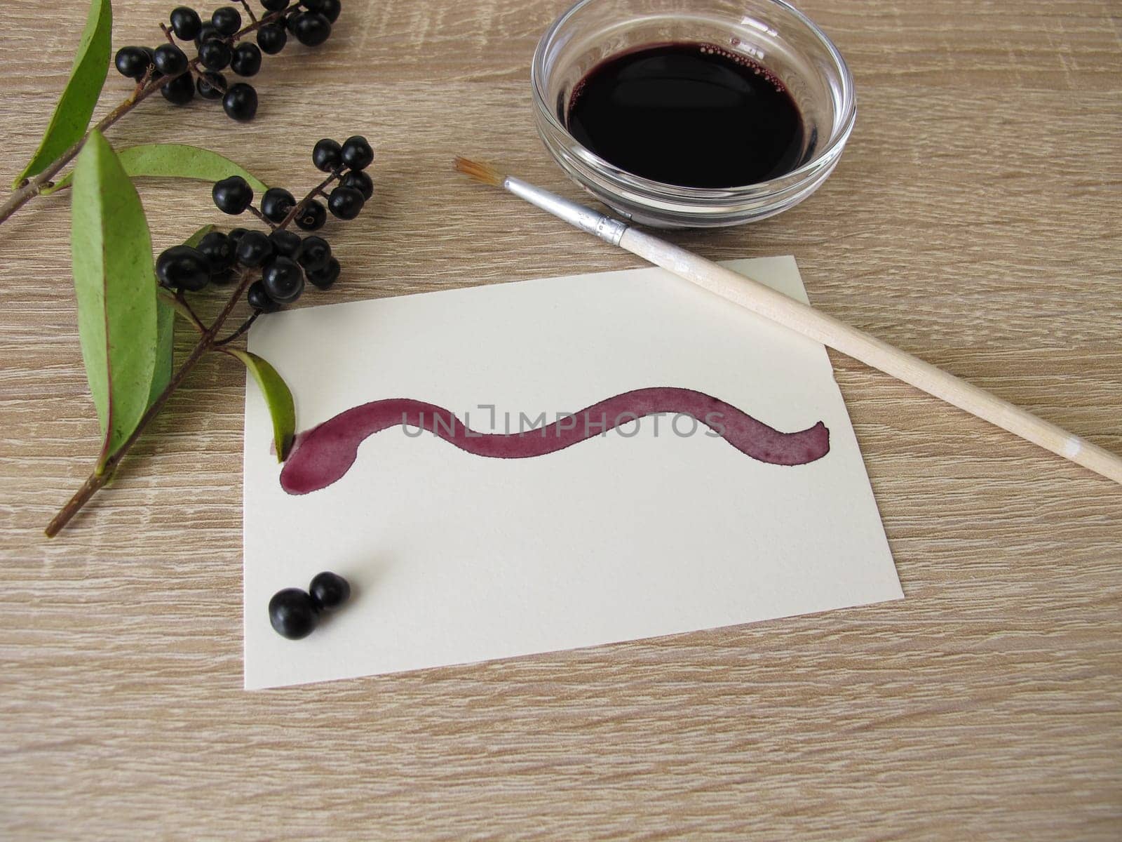 Painting with black violet plant ink made from privet berries
