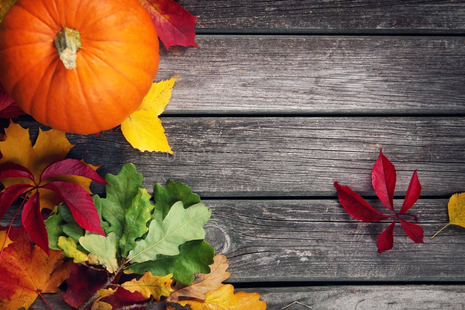 yellow pumpkin on old weathered wooden background
