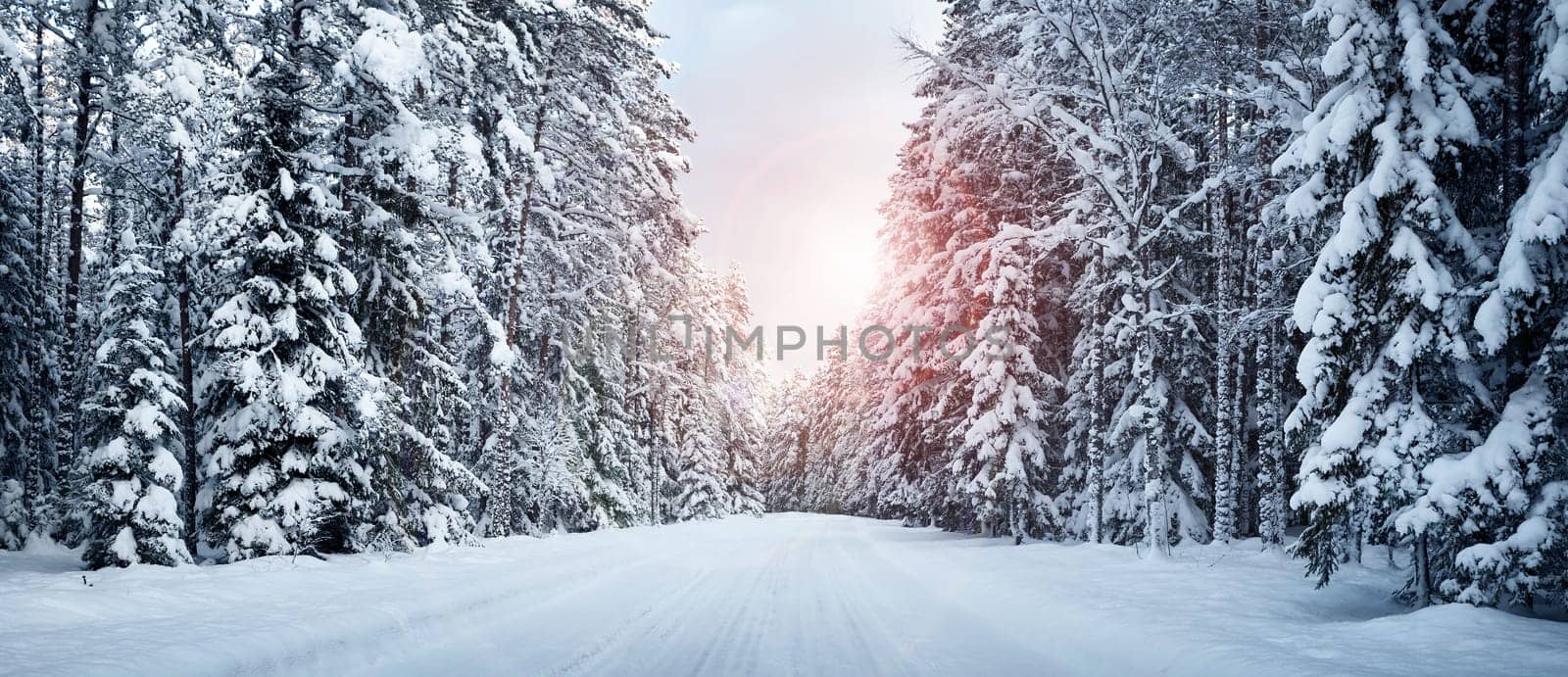 winter panorama on the road through coniferous forest
