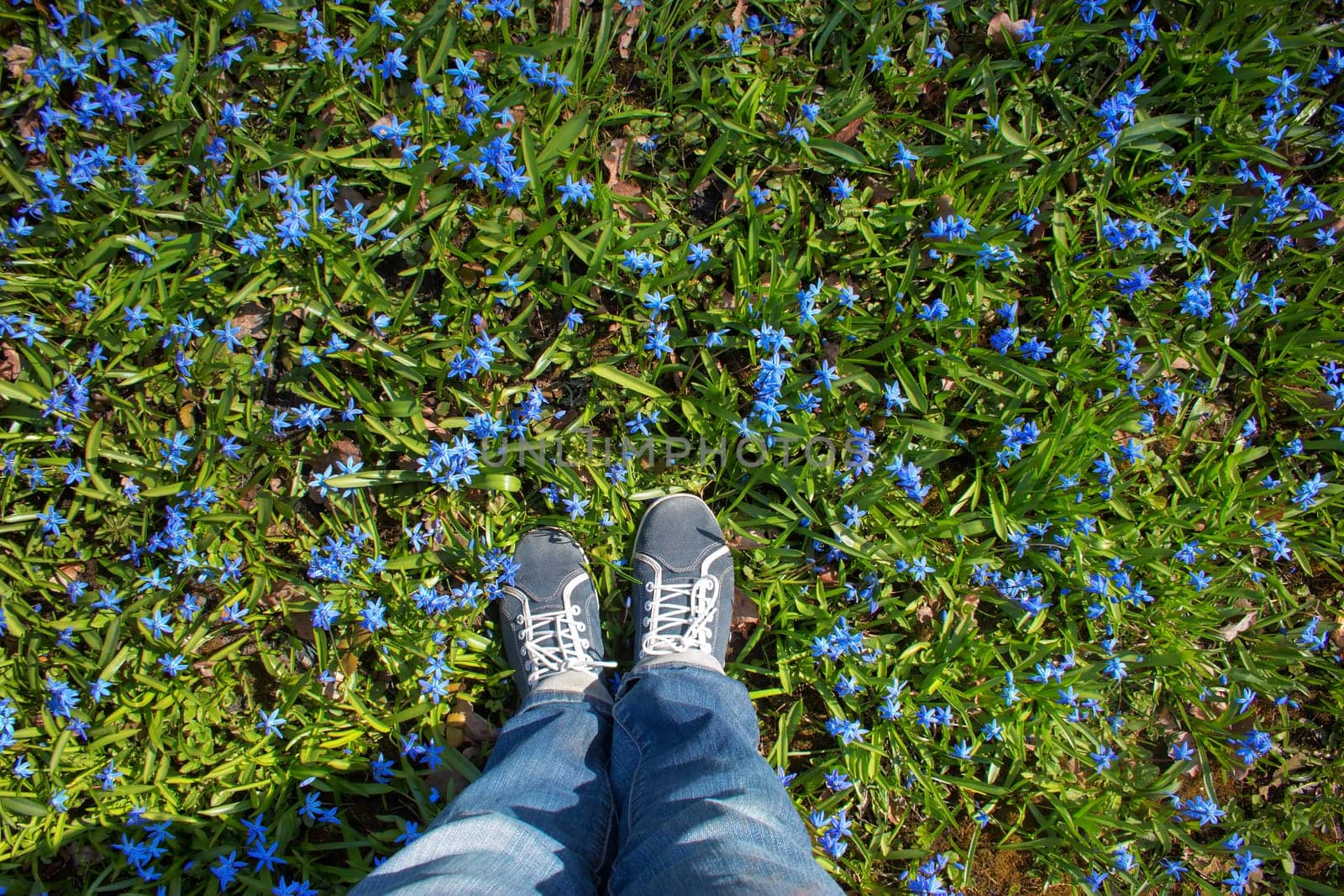view to spring flowers in the park. Beautiful morning with sunshine. Feet in shoes on the ground