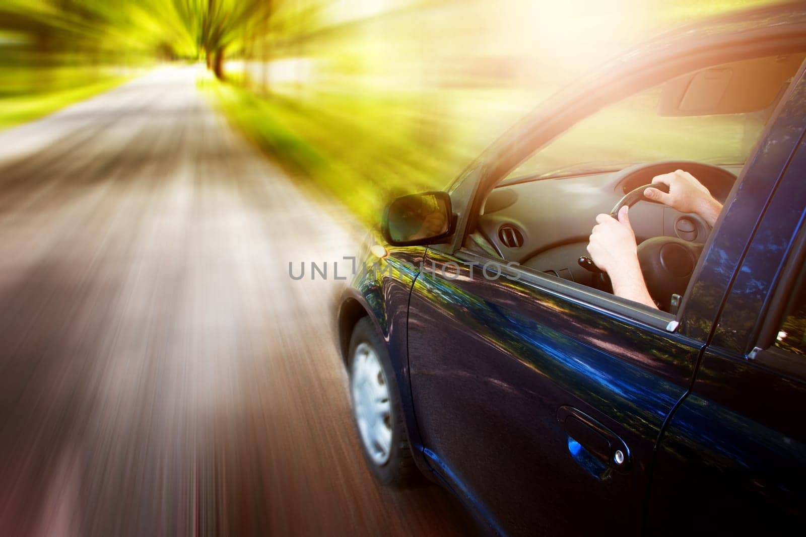 Car on asphalt road on summer day at park