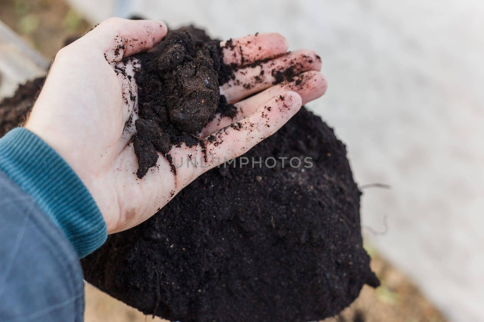 Spade with ground in garden. The gardener takes a handful of land with his hand
