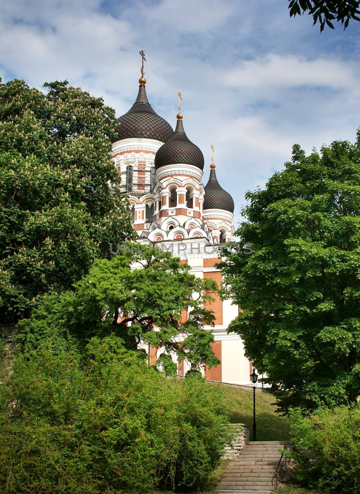 View to Alexander Nevsky cathedral in summer