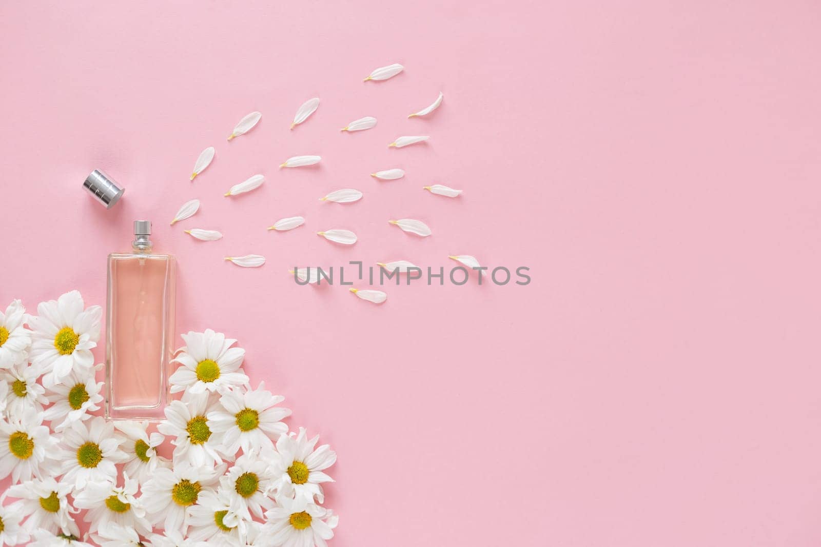 Fresh spring perfume sprays flower petals. Floral aroma metaphor. Glass jar with lot of daisy flowers buds on pink background. Top view, flat lay