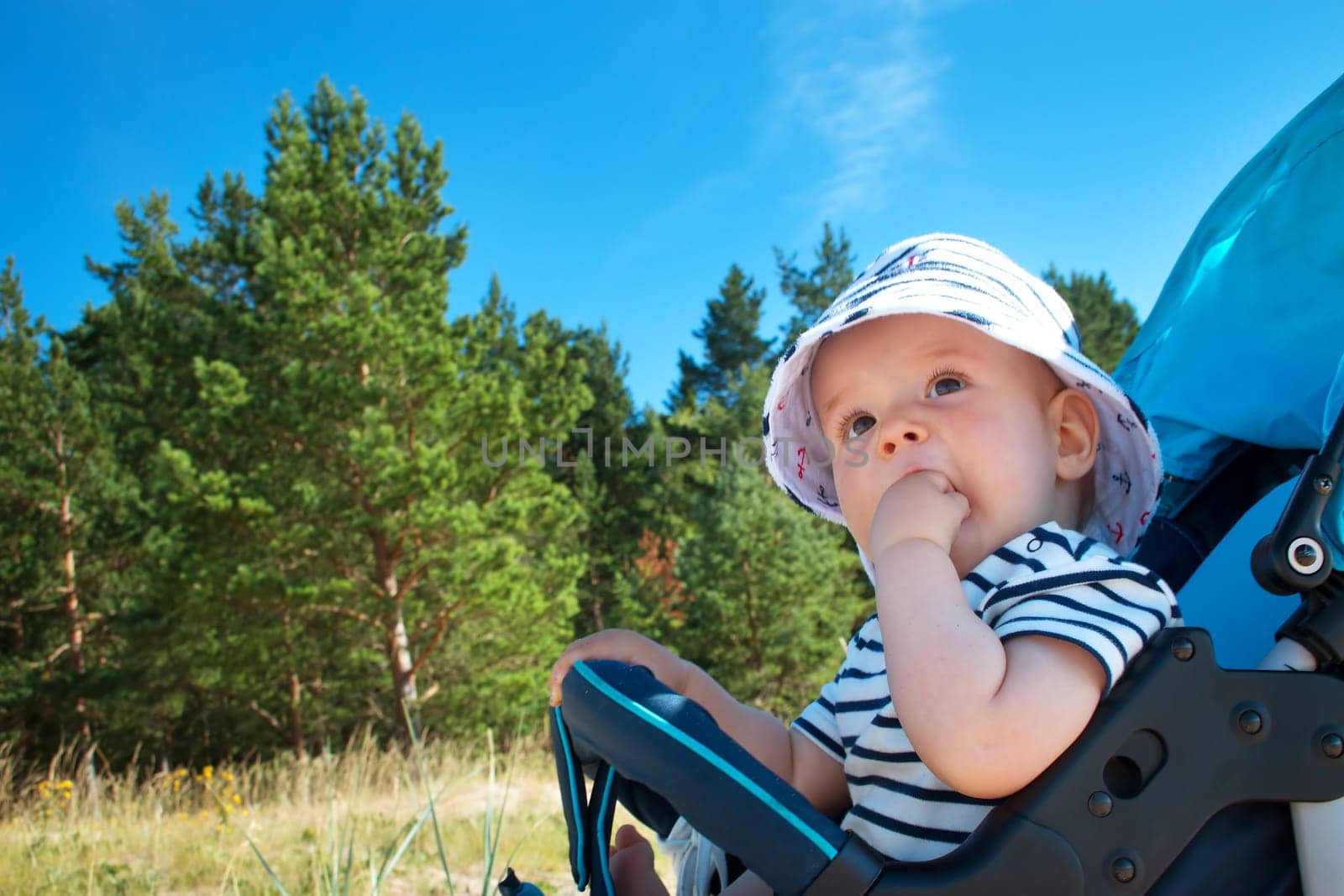Nine month old baby boy sitting in the stroller on beautiful summer day