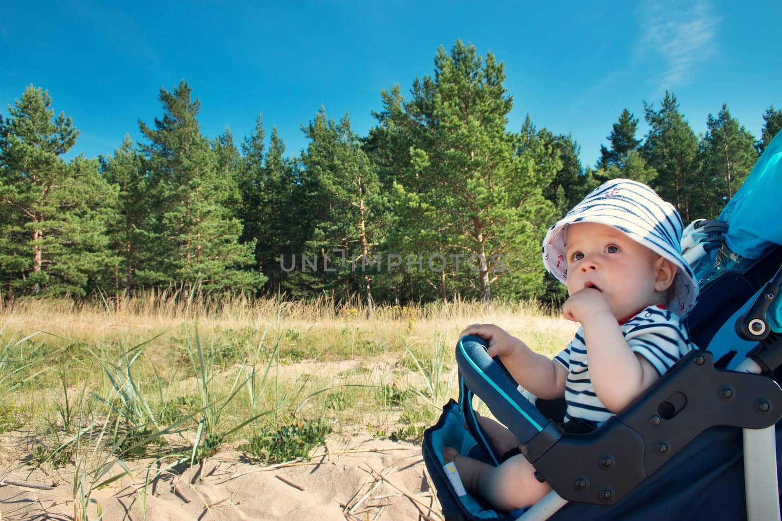 Nine month old baby boy sitting in the stroller on beautiful summer day