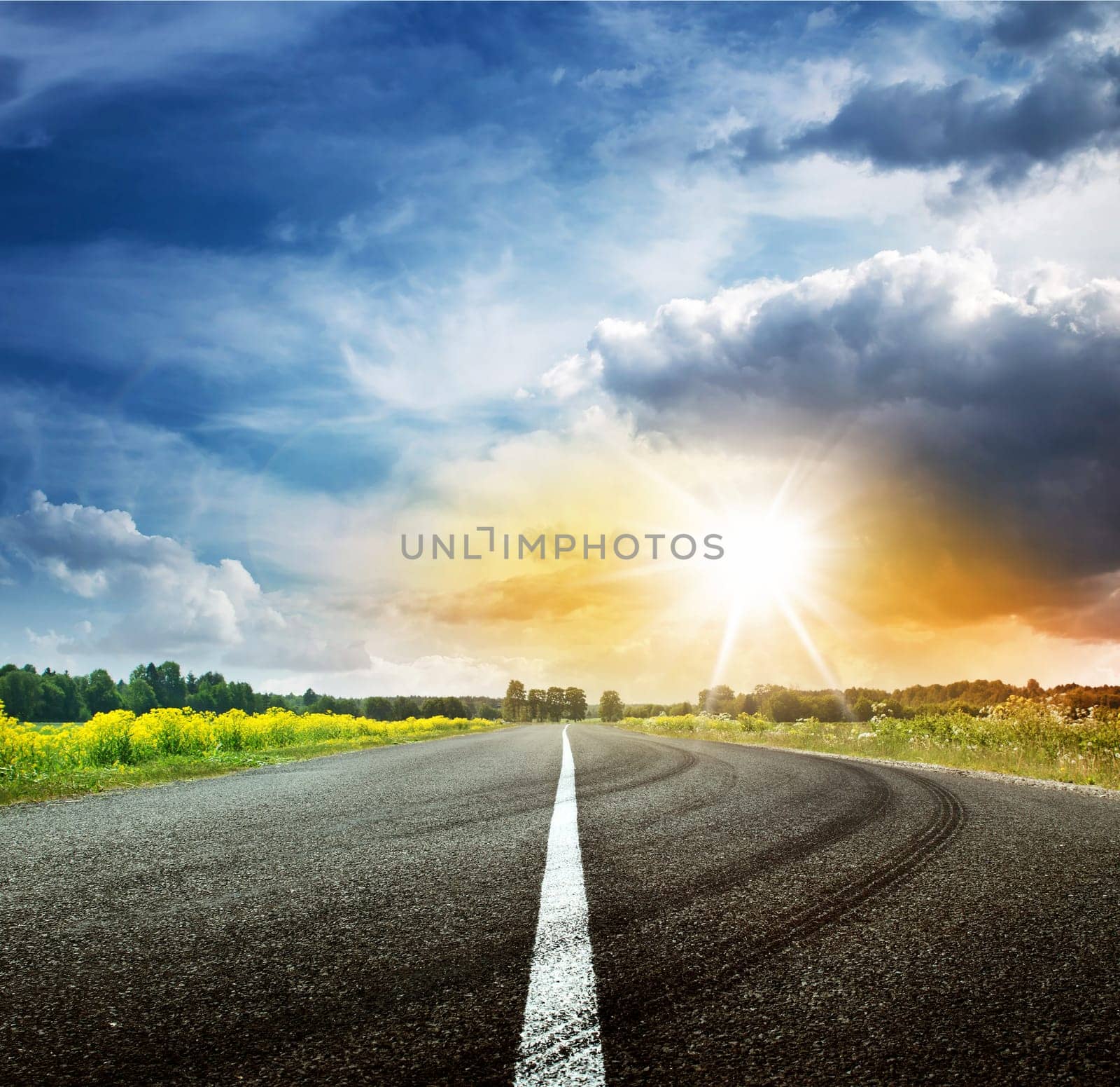 asphalt road view in countryside on sunny summer day with dramatic clouds