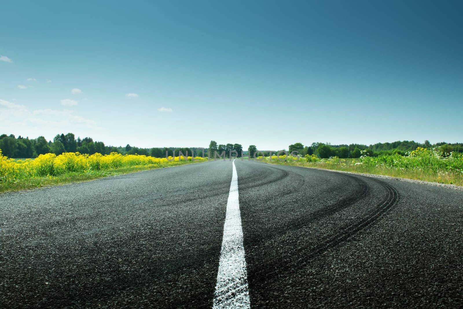asphalt road view in countryside on sunny spring day