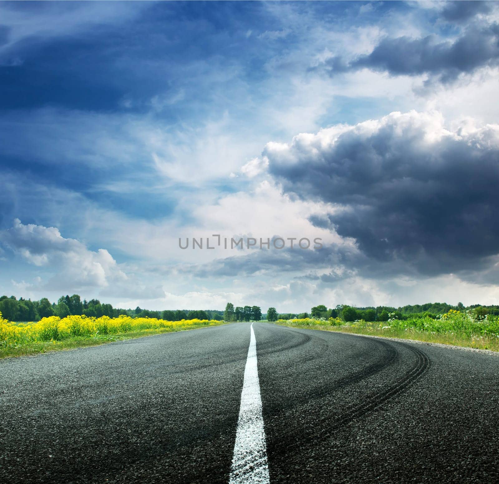 asphalt road view in countryside on sunny summer day with dramatic clouds