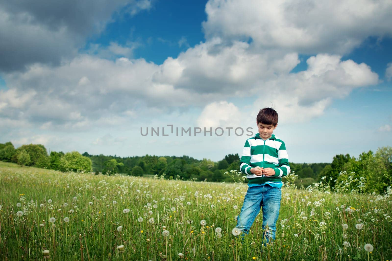 7 years old child standing on the field with dandelions in summer
