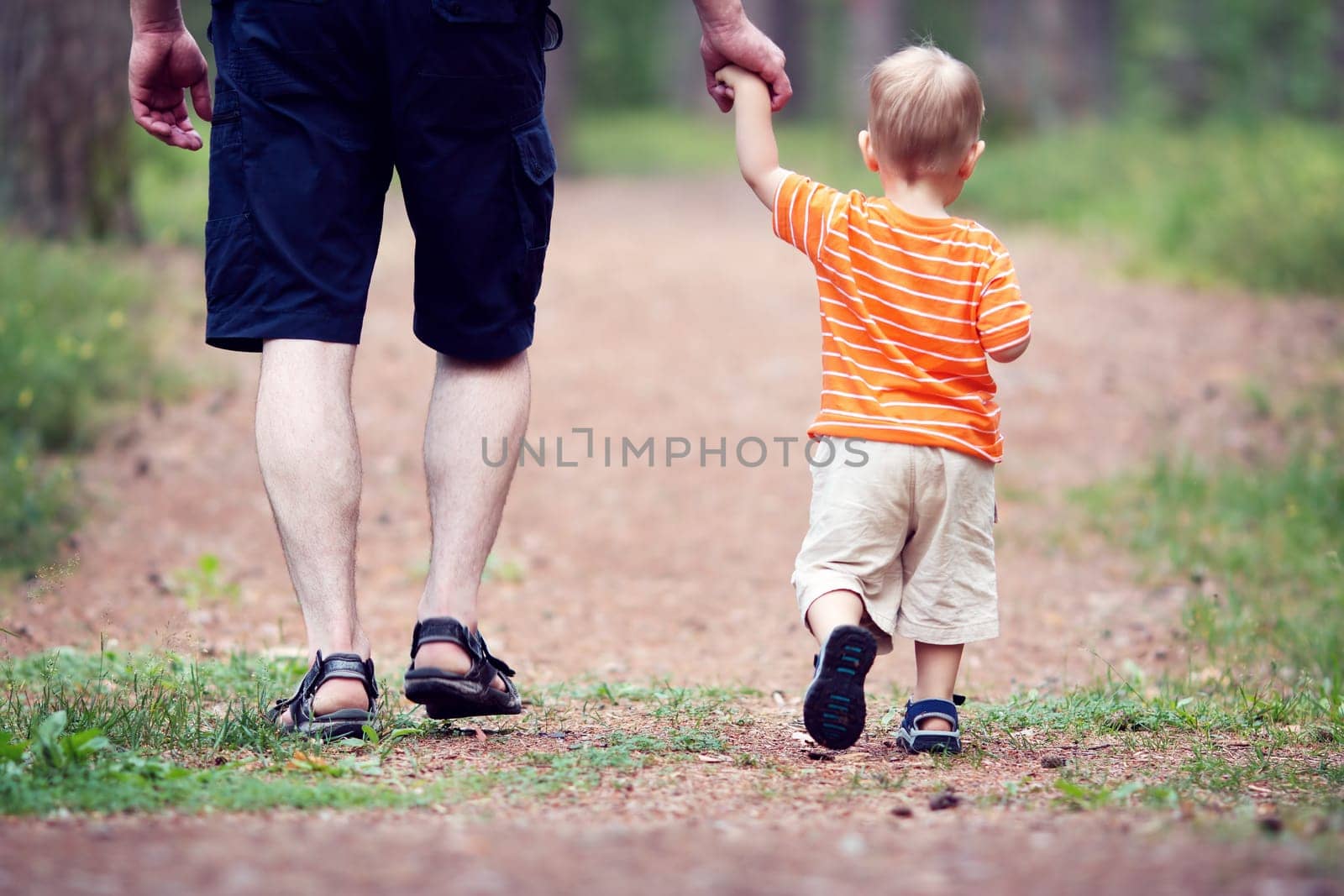 Father and son walking in the forest on summer day. Little child holding hand of a man