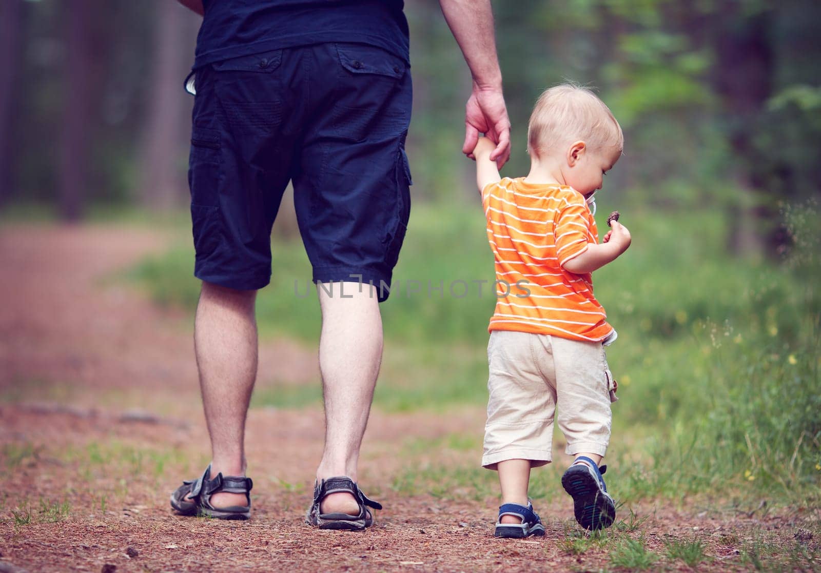 Father and son walking in the forest on summer day. Little child holding hand of a man
