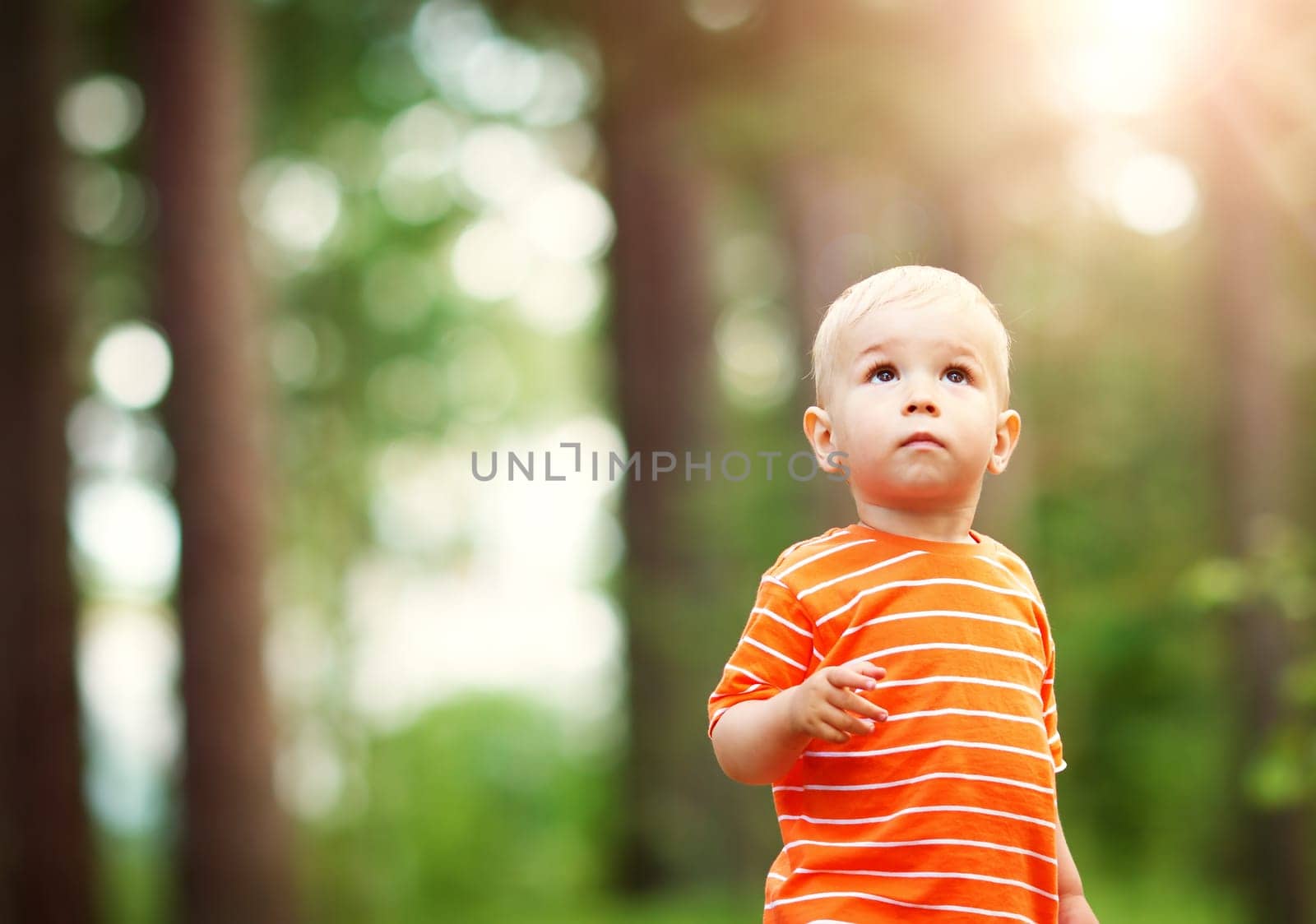 Little boy in the forest. Child looking up to the sky in the park in summer