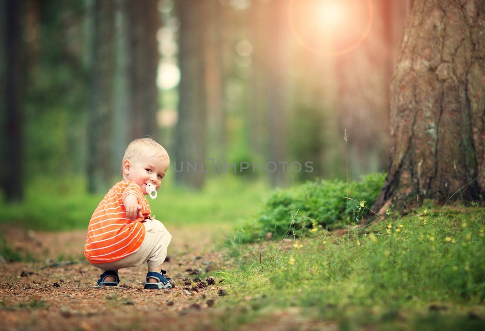 Happy little boy playing in the forest. Child collecting pine cones in the park in summer