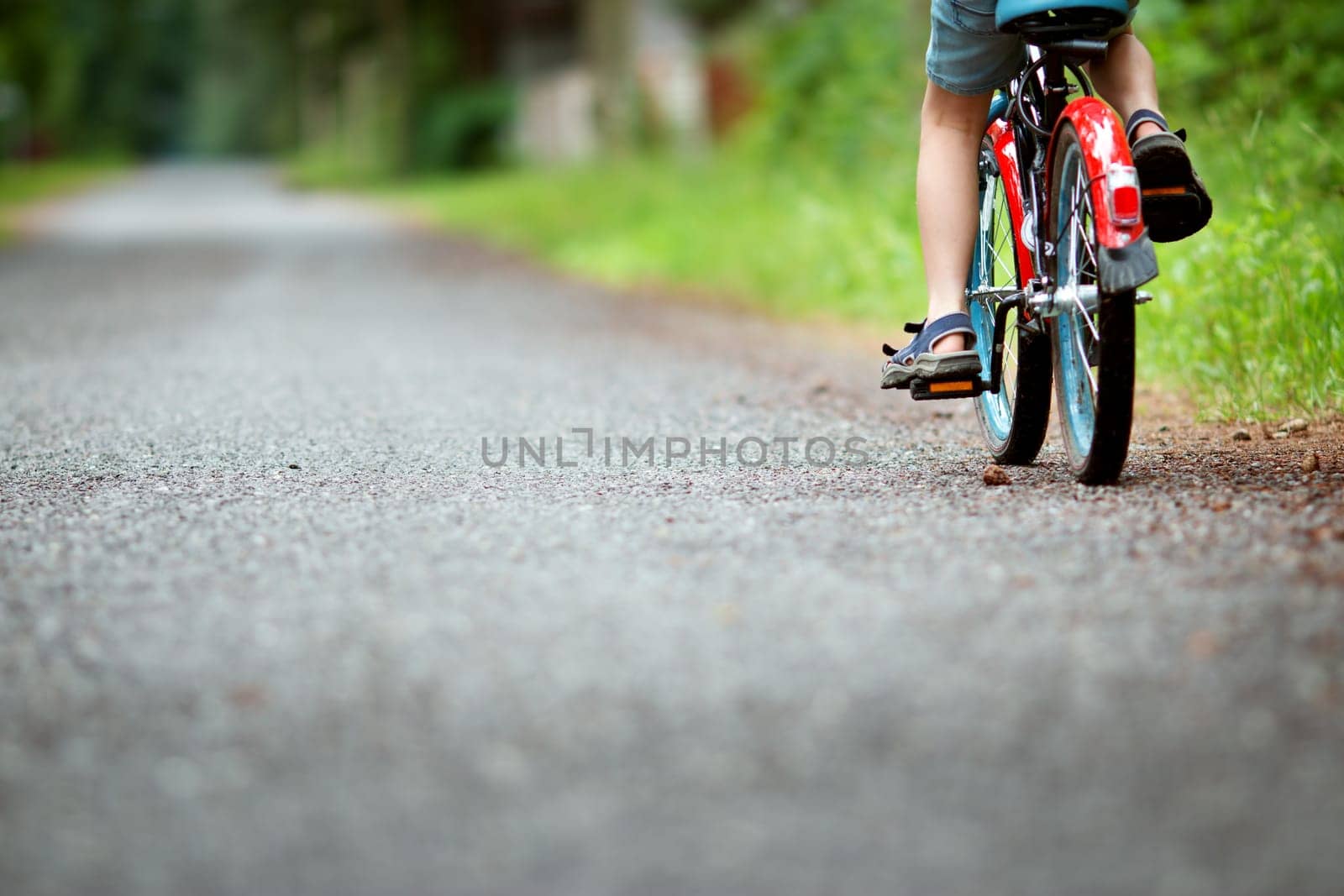child on a bicycle at asphalt road in summer. Bike in the park