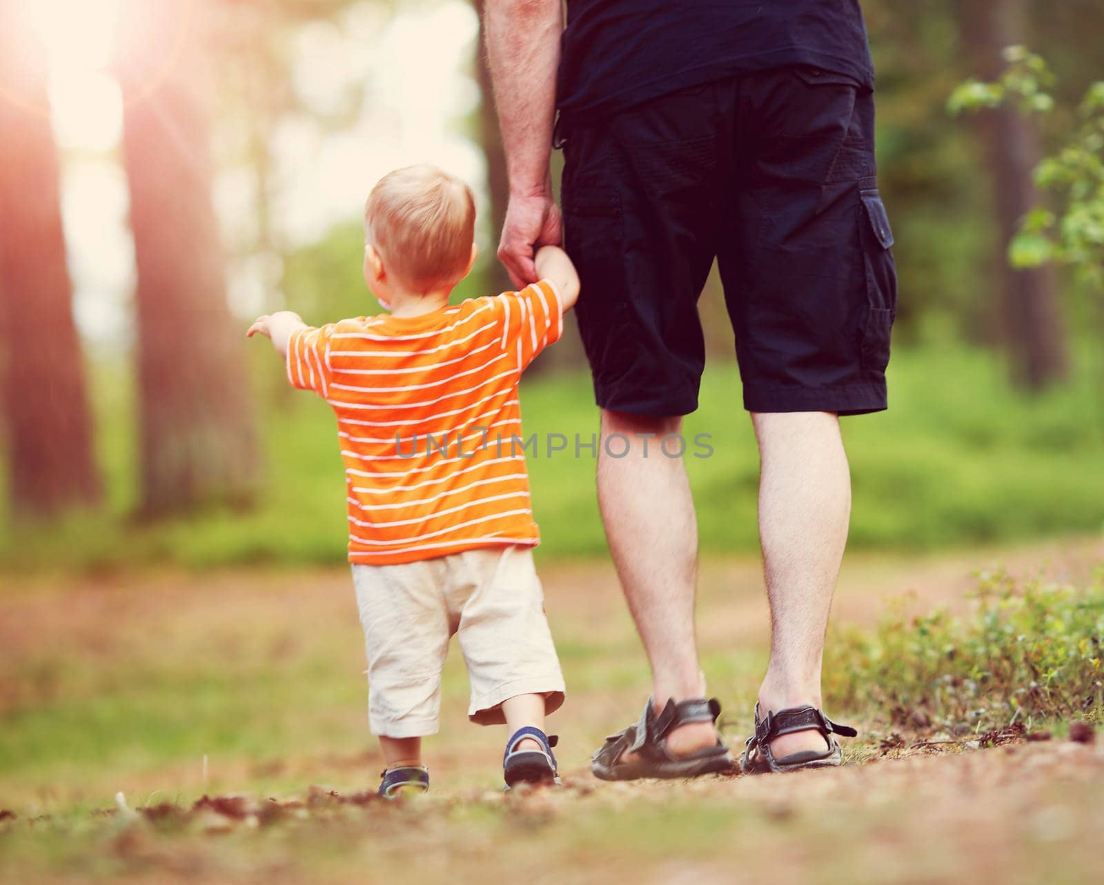 Father and son walking in the forest on summer day. Little child holding hand of a man
