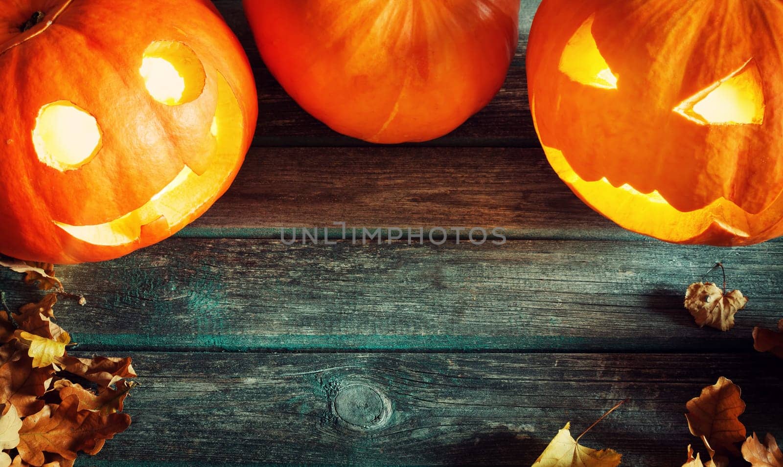 ripe pumpkins for halloween with spooky faces