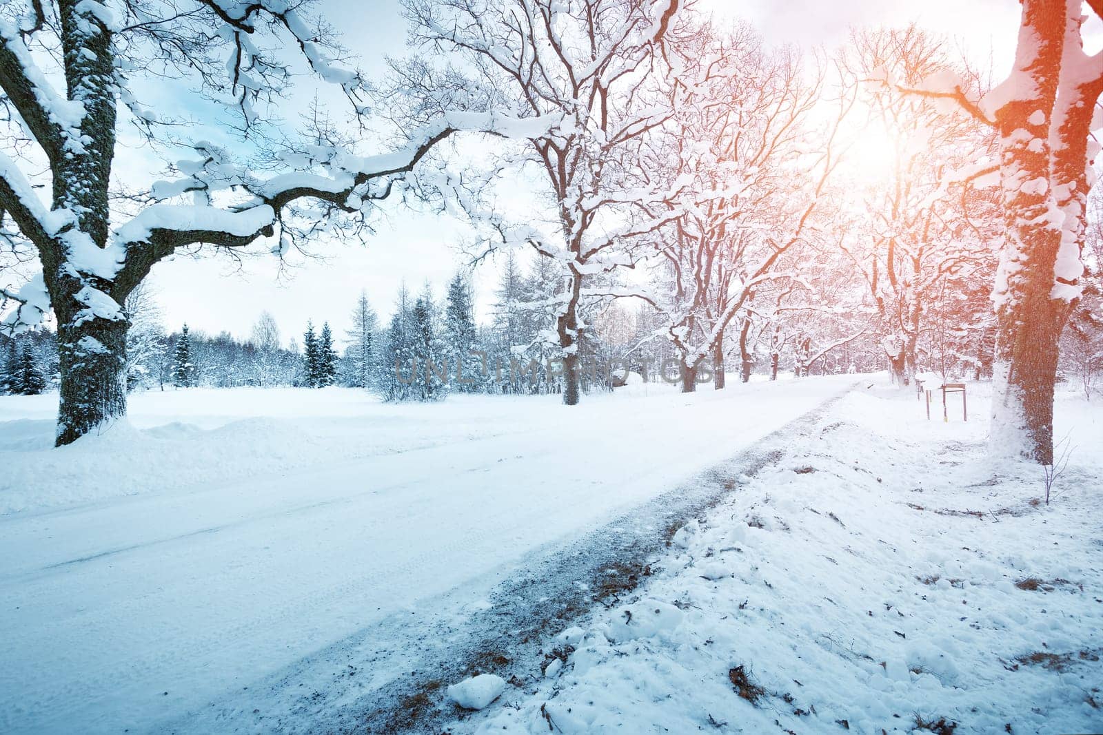 snow in winter on the road through alley with beautiful sunlight