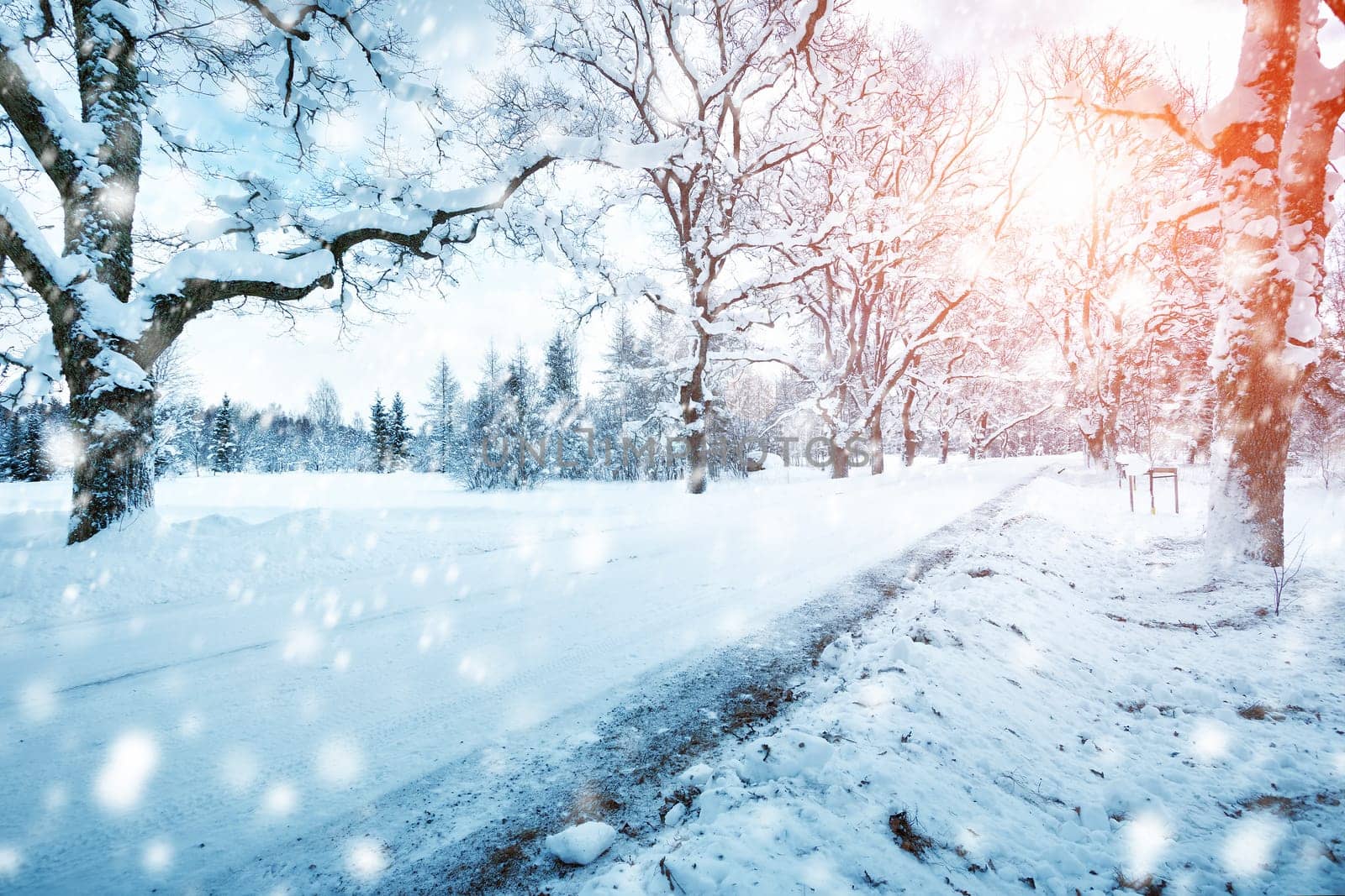 snow in winter on the road through alley with beautiful sunlight