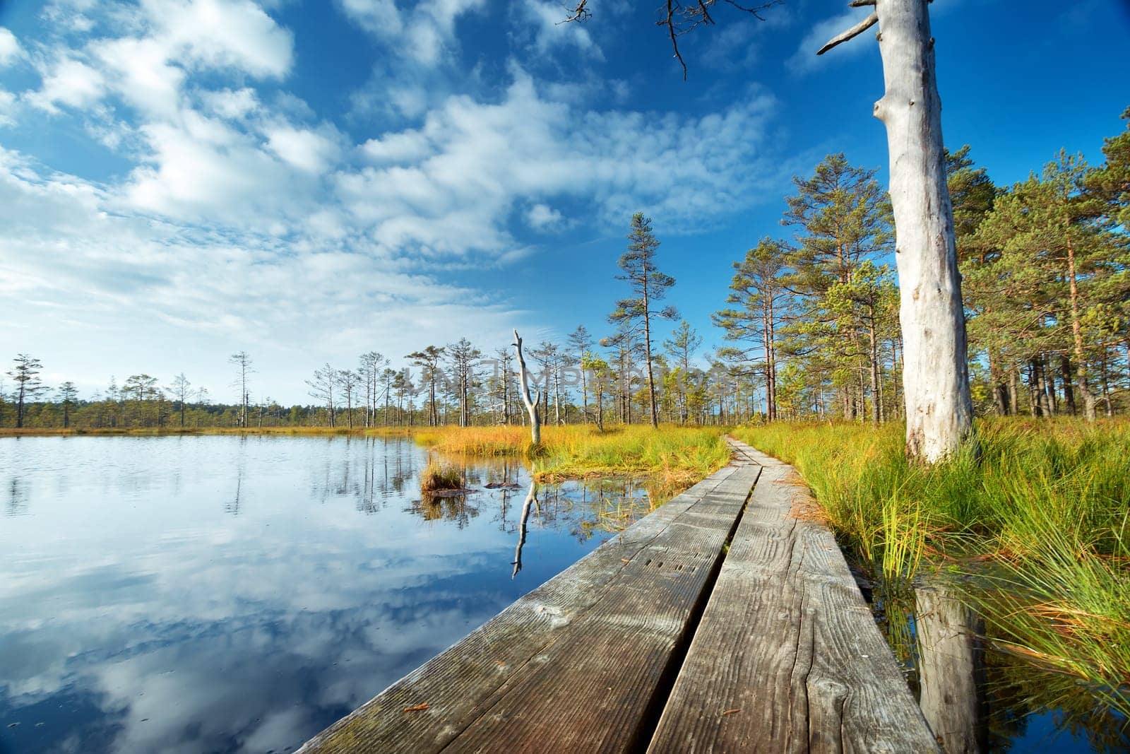 Viru bogs at Lahemaa national park in autumn. Wooden path at beautiful wild place in Estonia