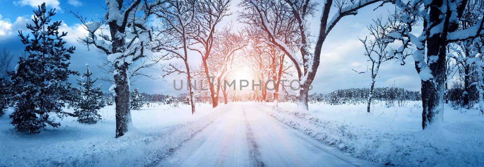 winter panorama on the road through snowy alley